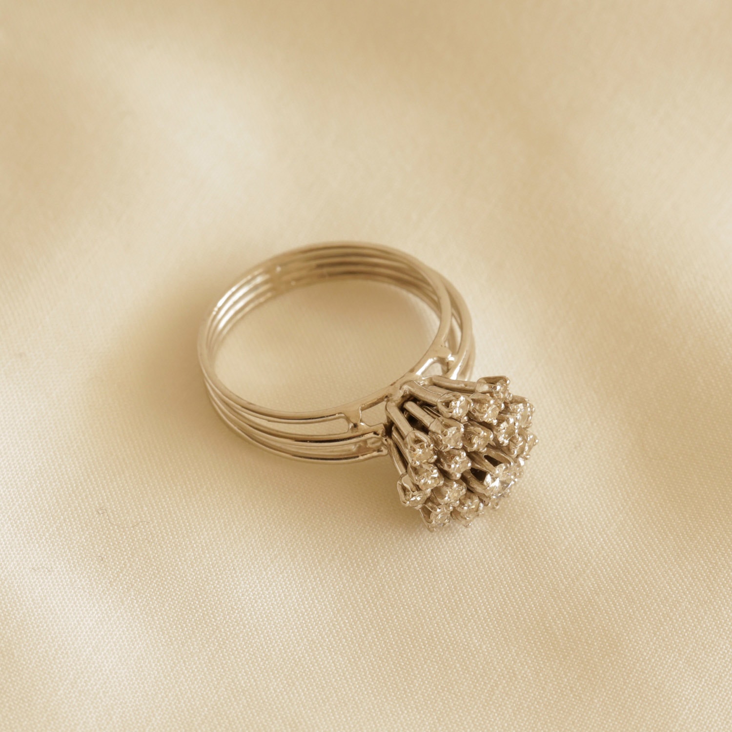 image_c69935ad-5179-4df6-a36b-cf6125882bcd