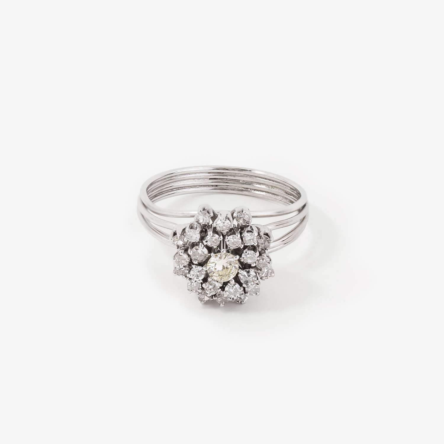 image_d818d0b4-bb82-43ed-936b-980d561c046a