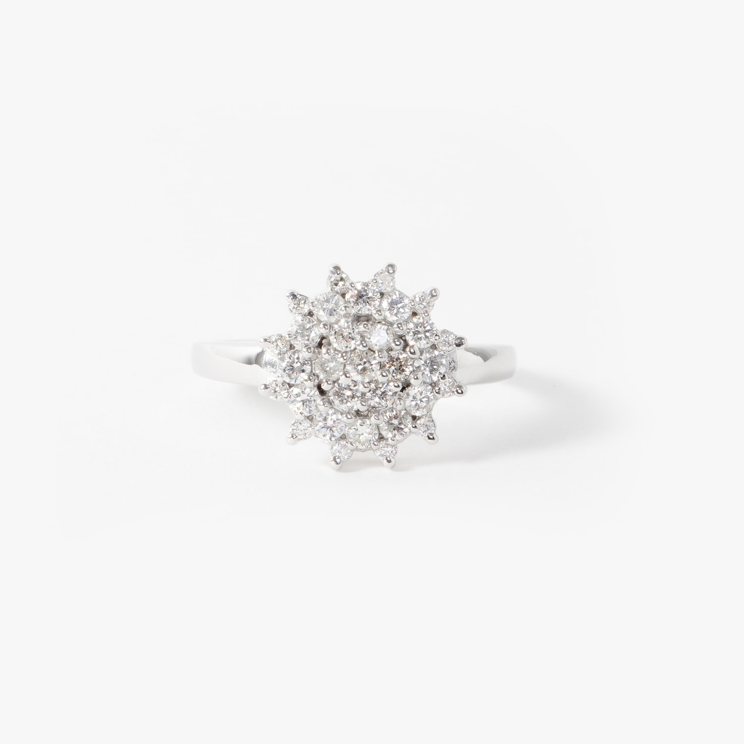 image_613f07f7-be82-4b6f-af4d-f1f6b988879d