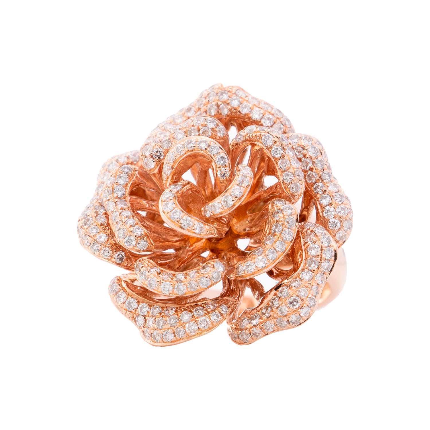 Product main image - 6ba495c3-56d5-4a23-80b0-099f57f8e11b