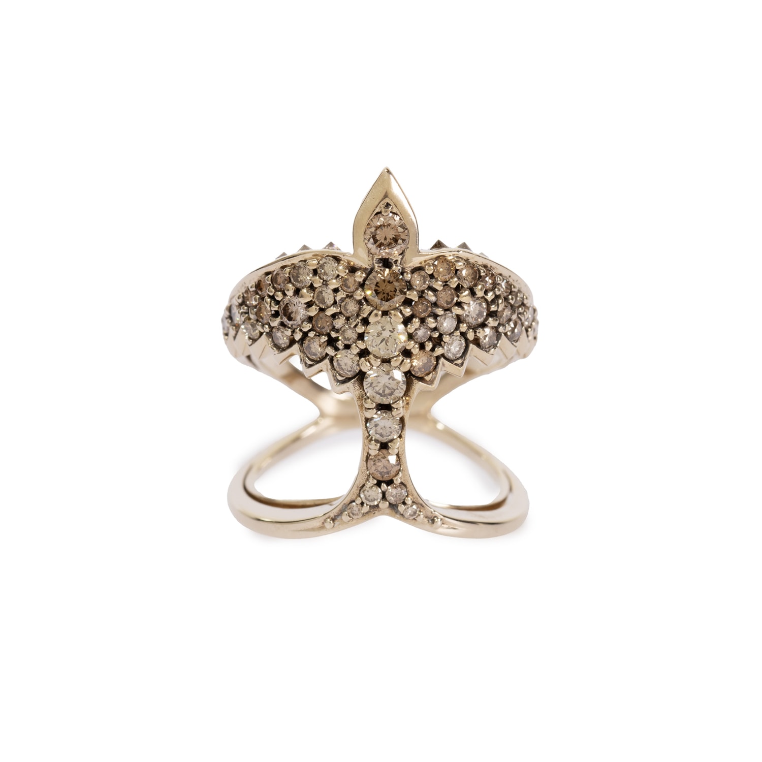 image_361fef85-07e9-464e-a665-b2cce263c439