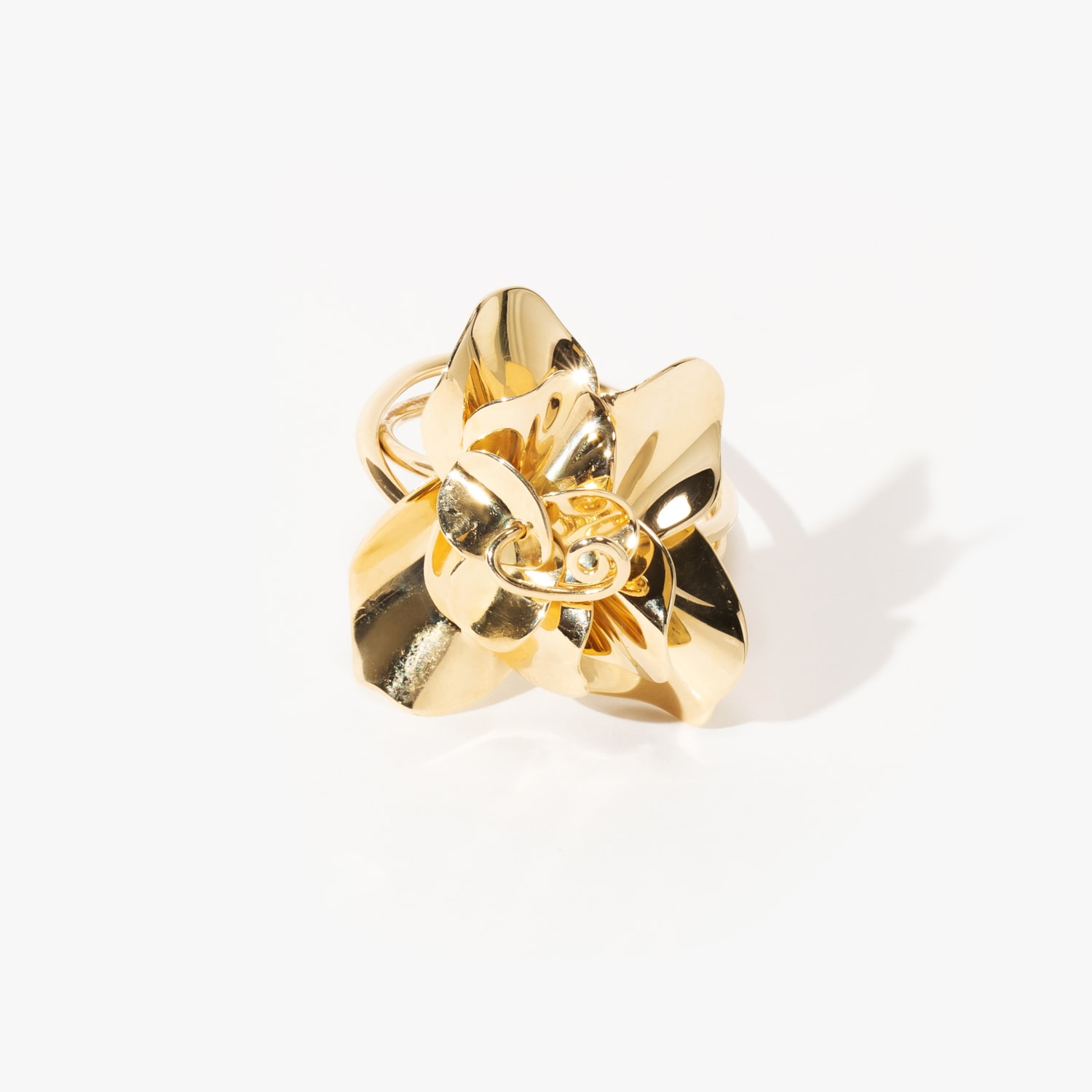 image_0de05cb4-c624-4bb8-8c8d-243e9d63dd4b