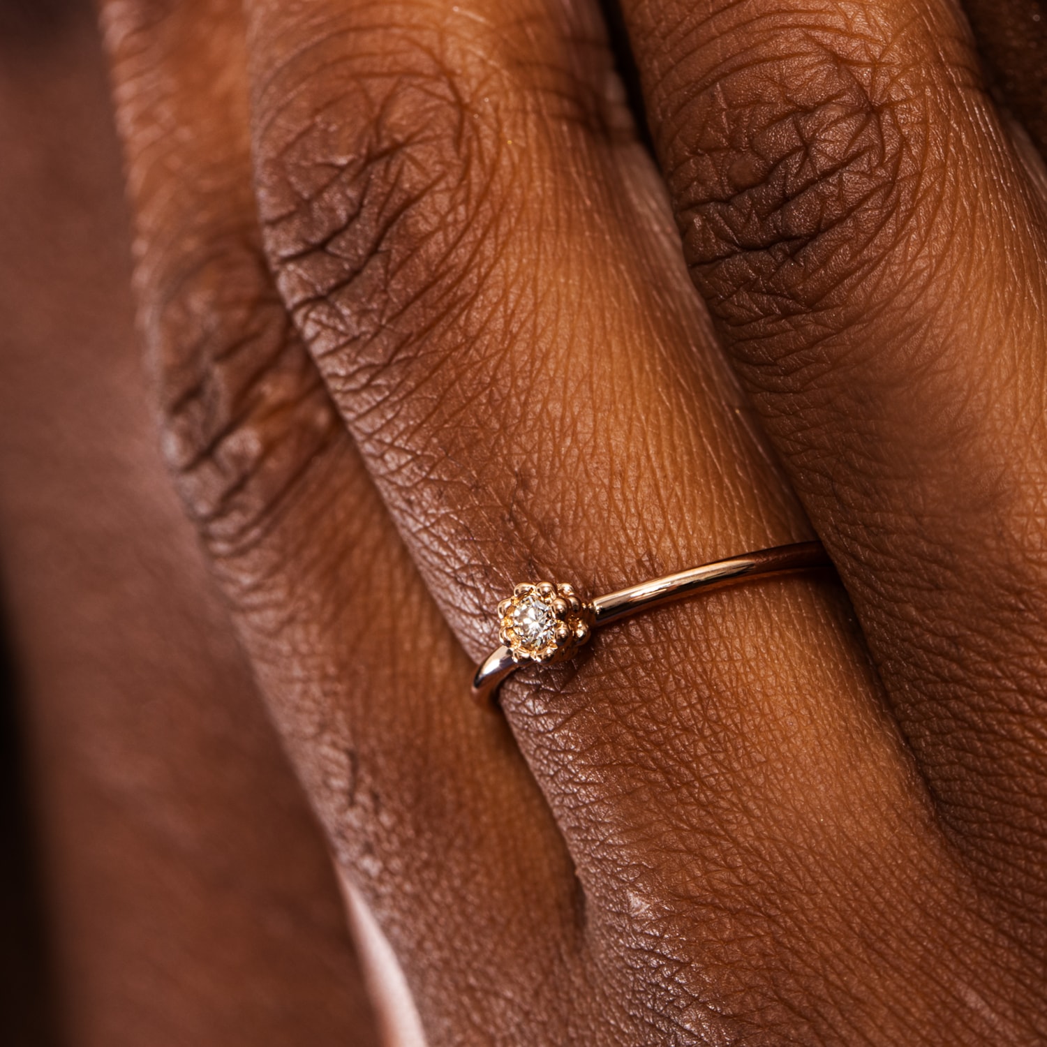 image_48f97e05-58c7-431d-8cbc-2fc7636a0582