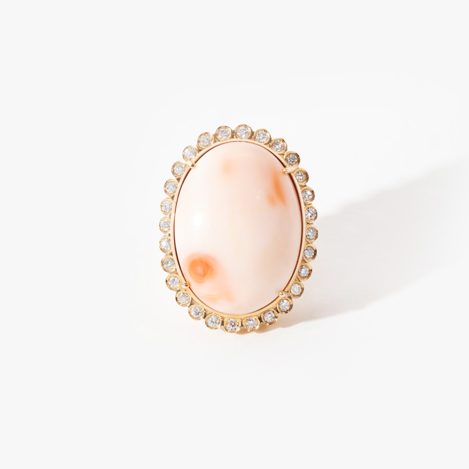 image_fe6c2935-8b2f-4dc1-a4bb-f5ef0238310f