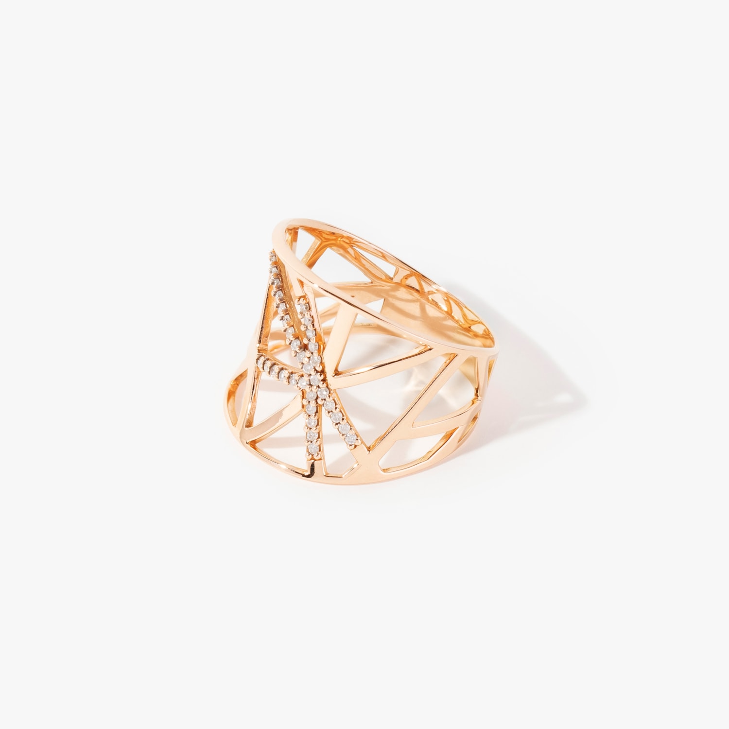 image_2d1f73e9-c311-4f86-9b77-d8af5a783c82