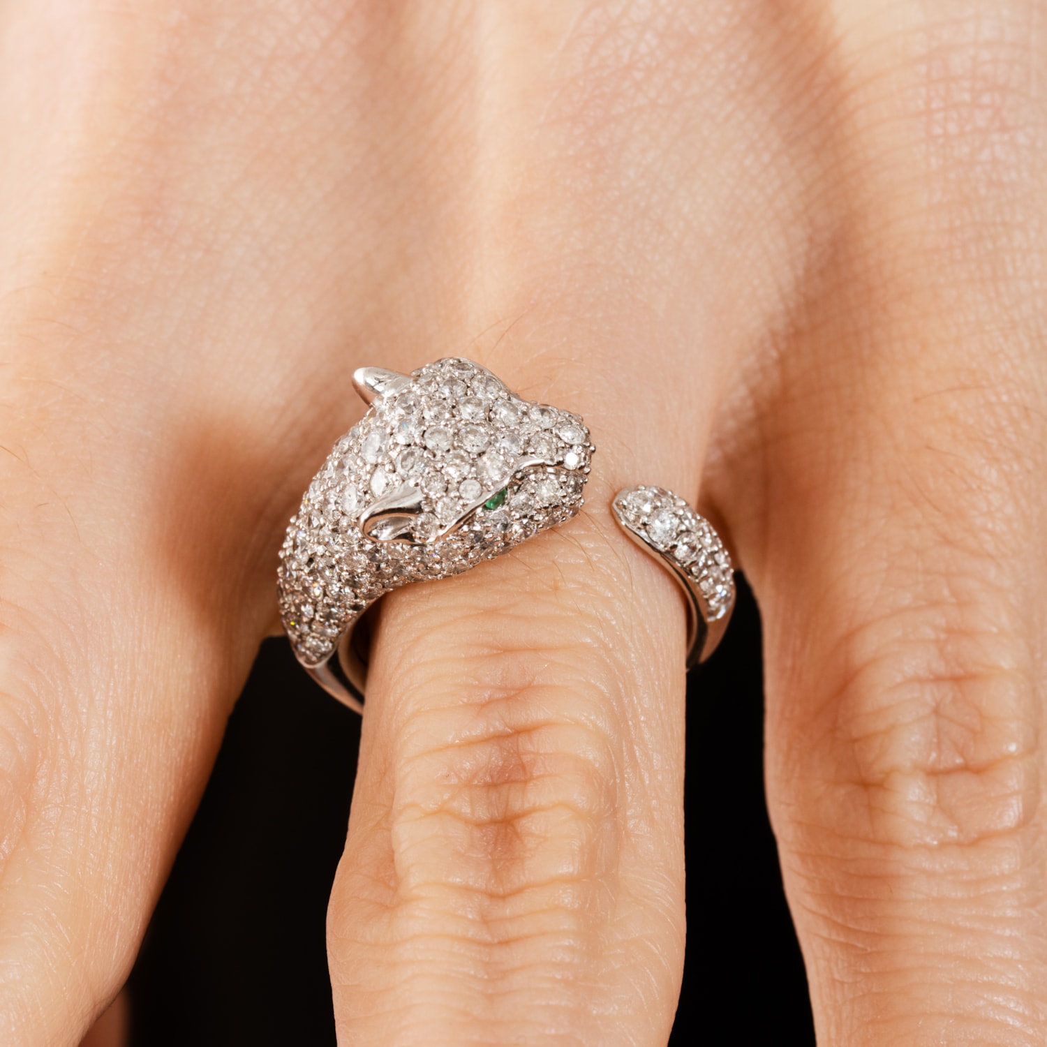 image_c5ecec7d-0ede-49bf-9013-b7afb9a075b5