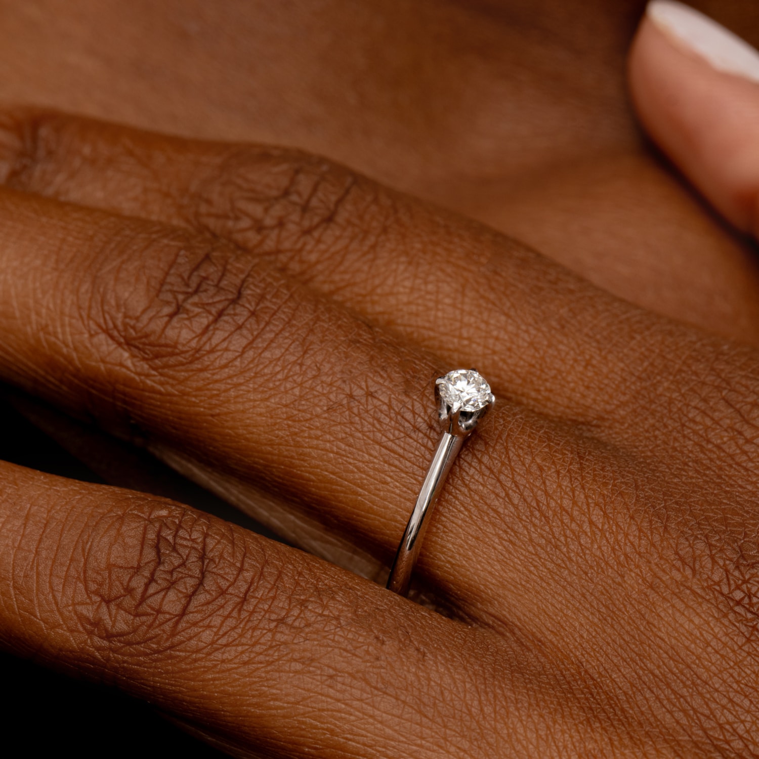 image_c7068b22-cffb-4836-984f-2a34e517b12c