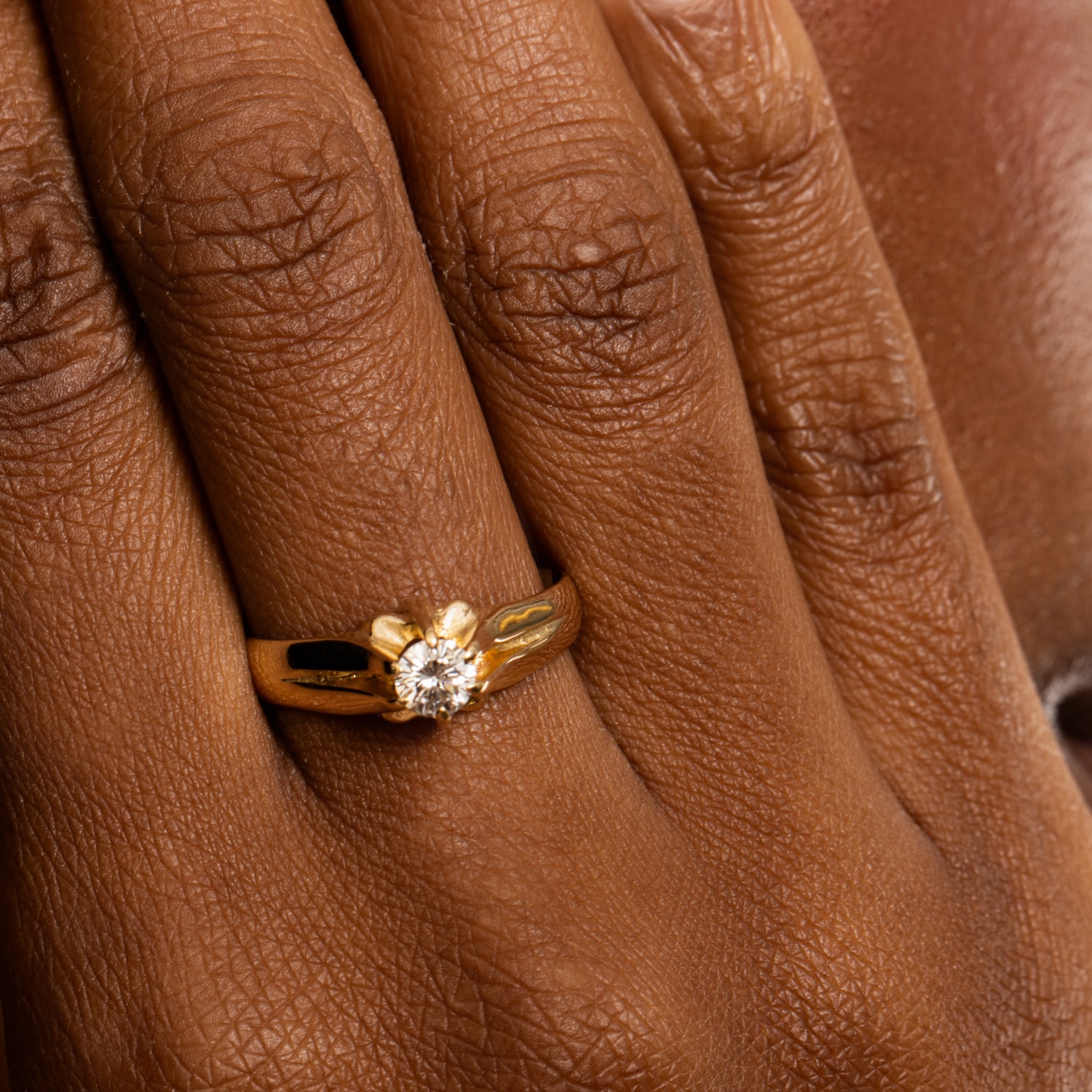 image_8d528a87-64e6-4fd6-9f10-8ca3504efe77