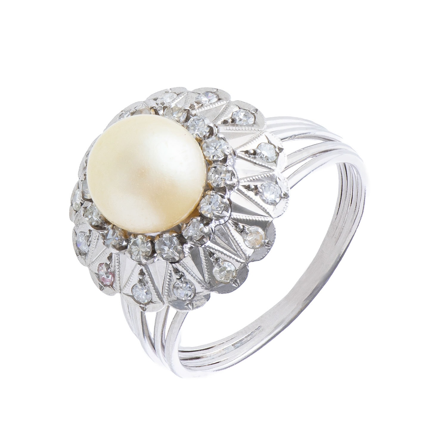 Product main image - 2893d8c2-c13e-4aad-b9d3-2f1d65e76997