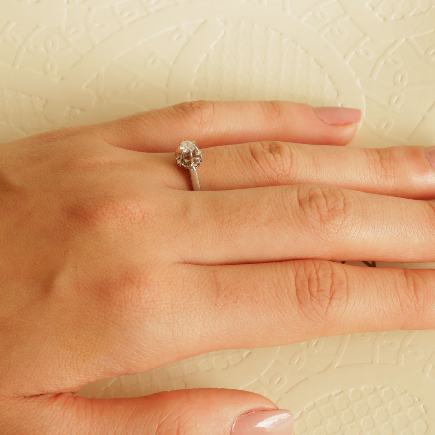 image_446c5550-d474-46f1-95d2-39d450a8b752