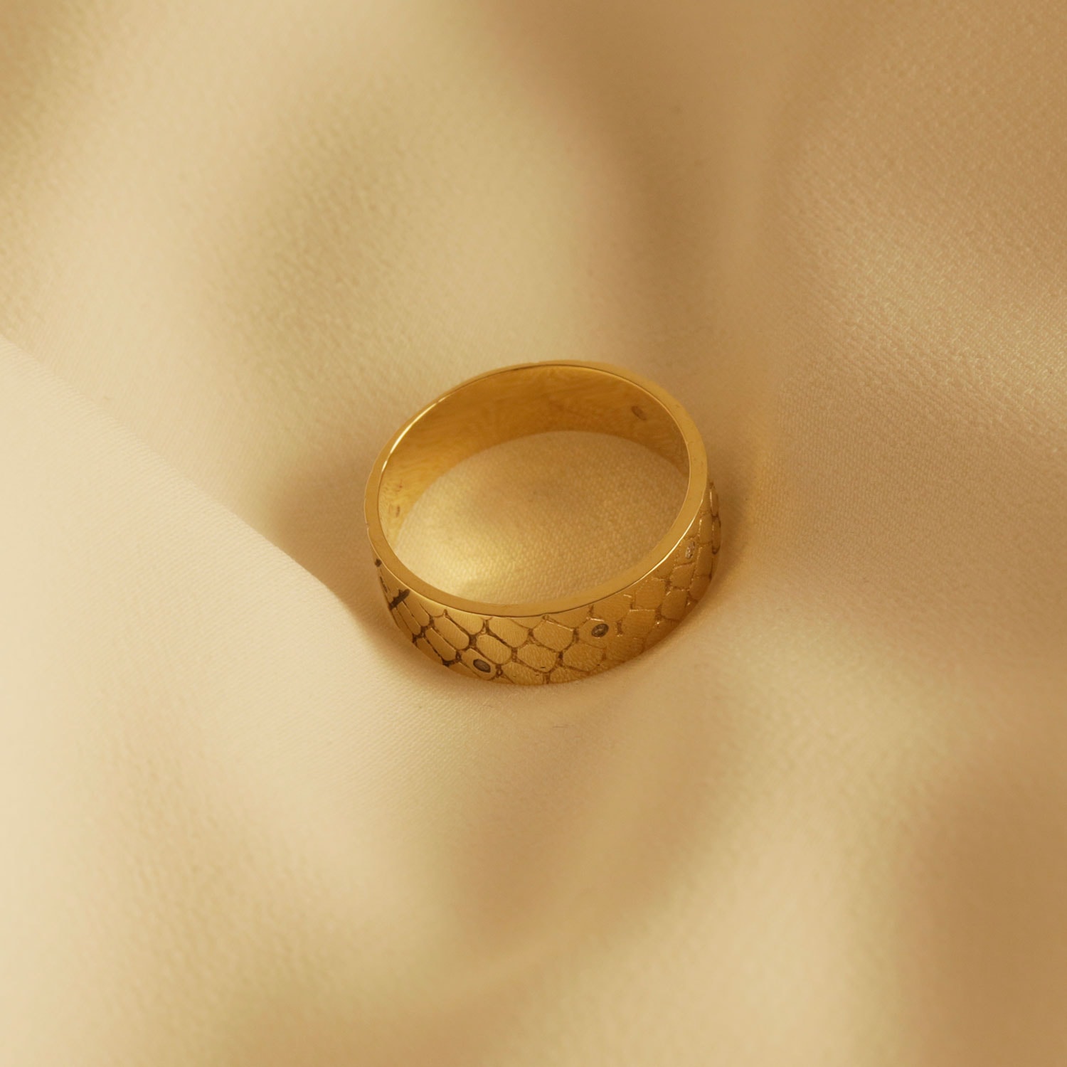 image_71651a71-5bee-48fc-a0f6-be3cca1f0ba7