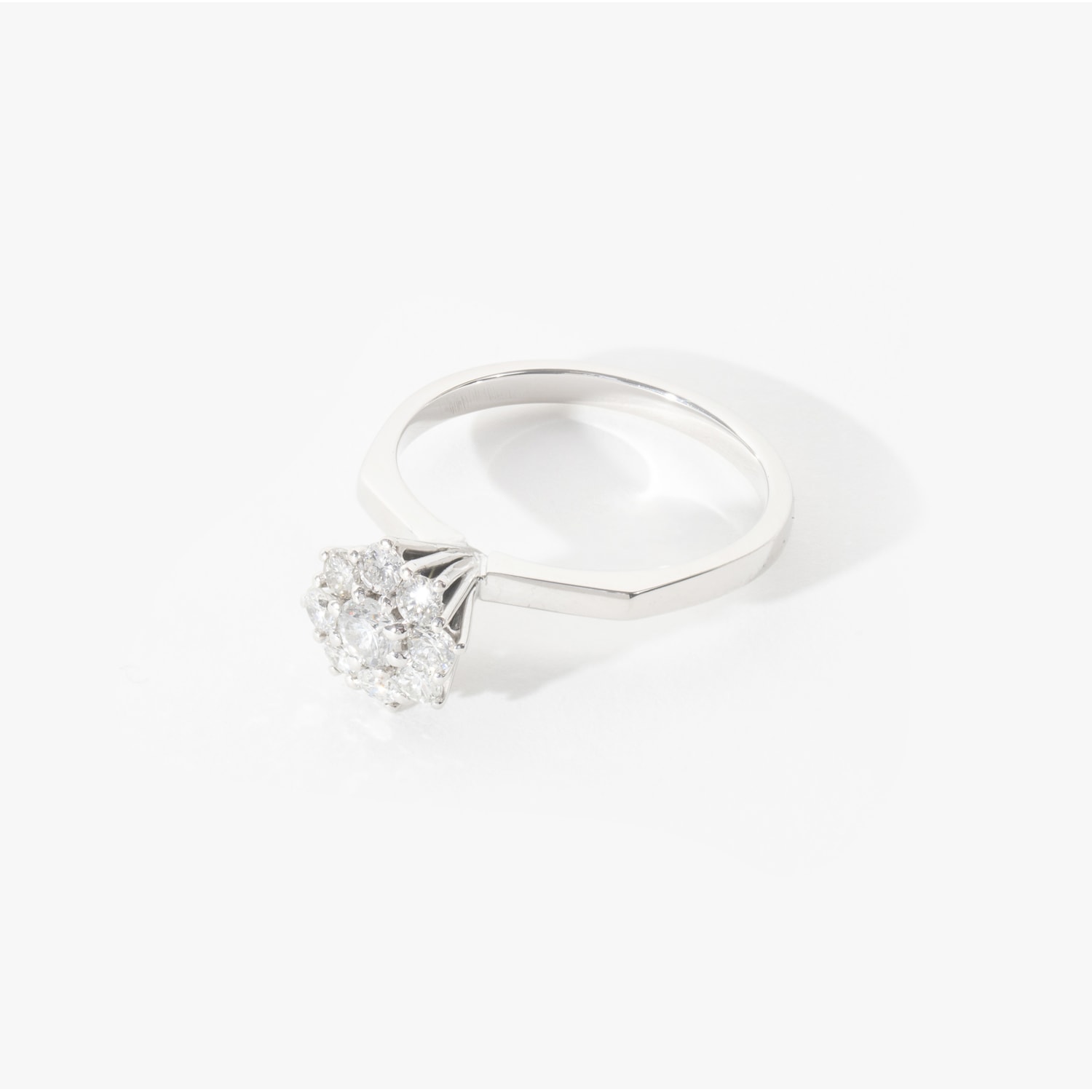 image_41eb670d-ea95-4d4b-b149-e7075a476351