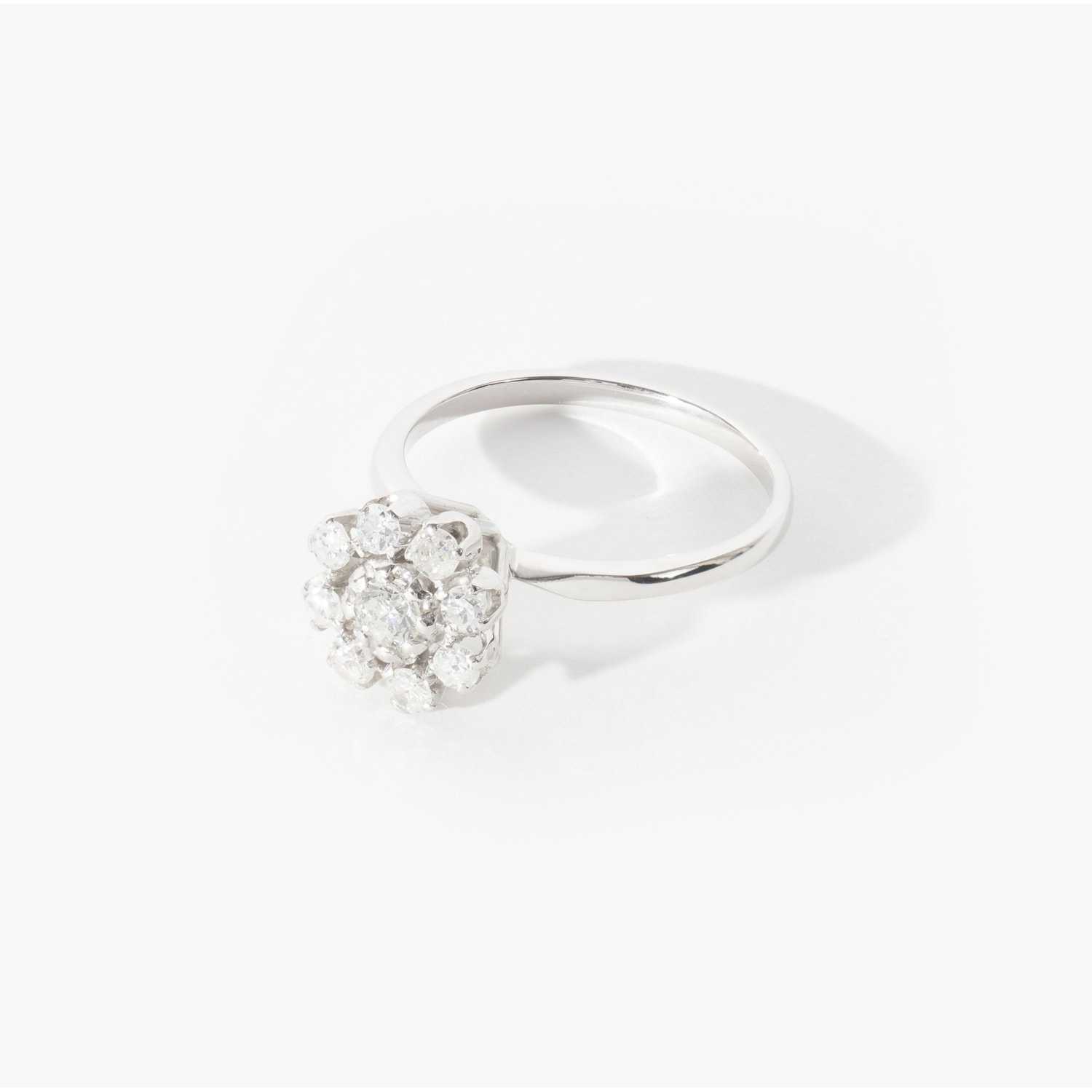 image_9978a99b-b723-495f-91fa-c855441512cd