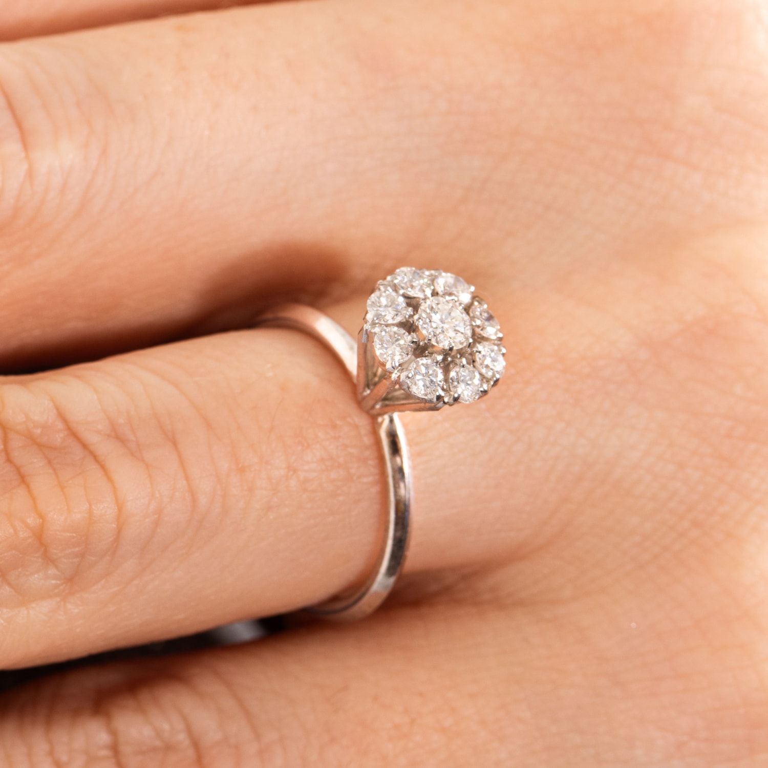 image_9aa4676f-6636-4ee8-8725-14c2b99f469f