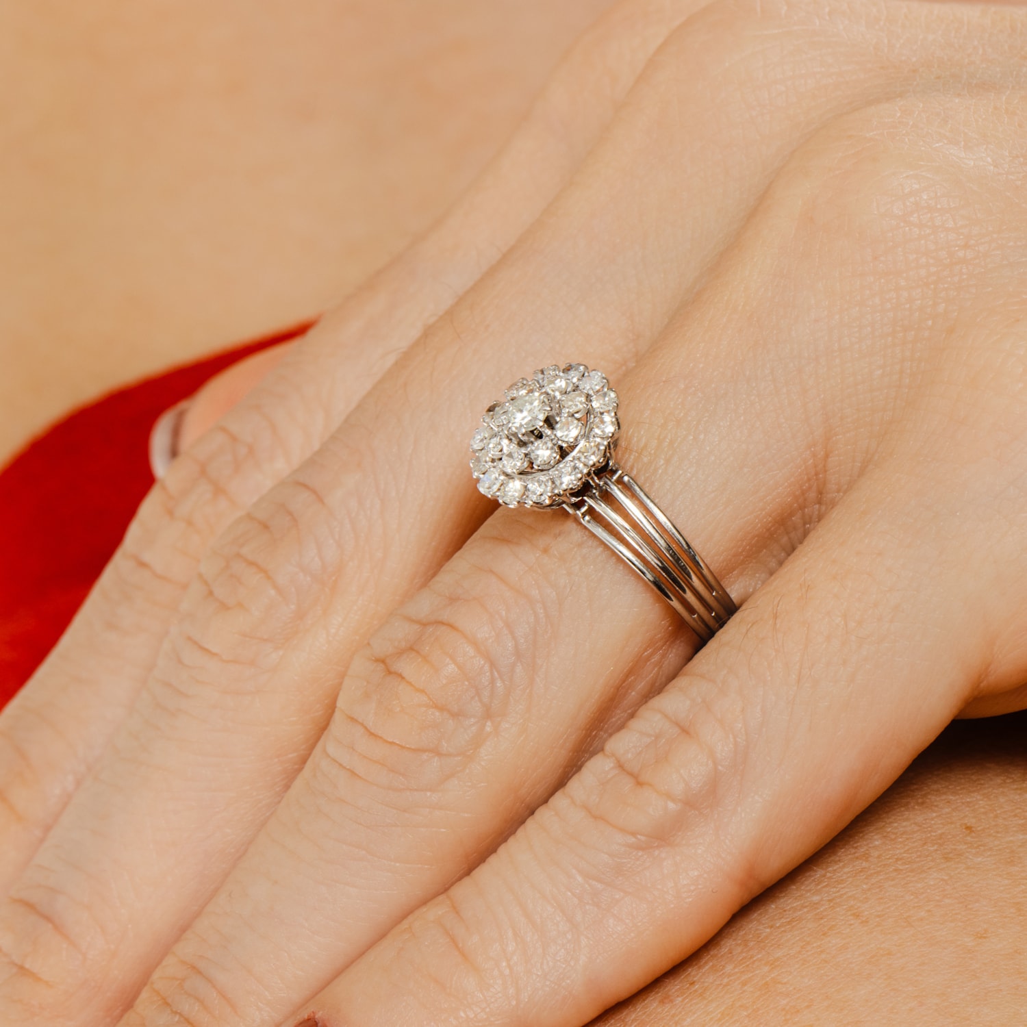 image_097e2544-d4fa-4a57-b473-80f3366b1c2b