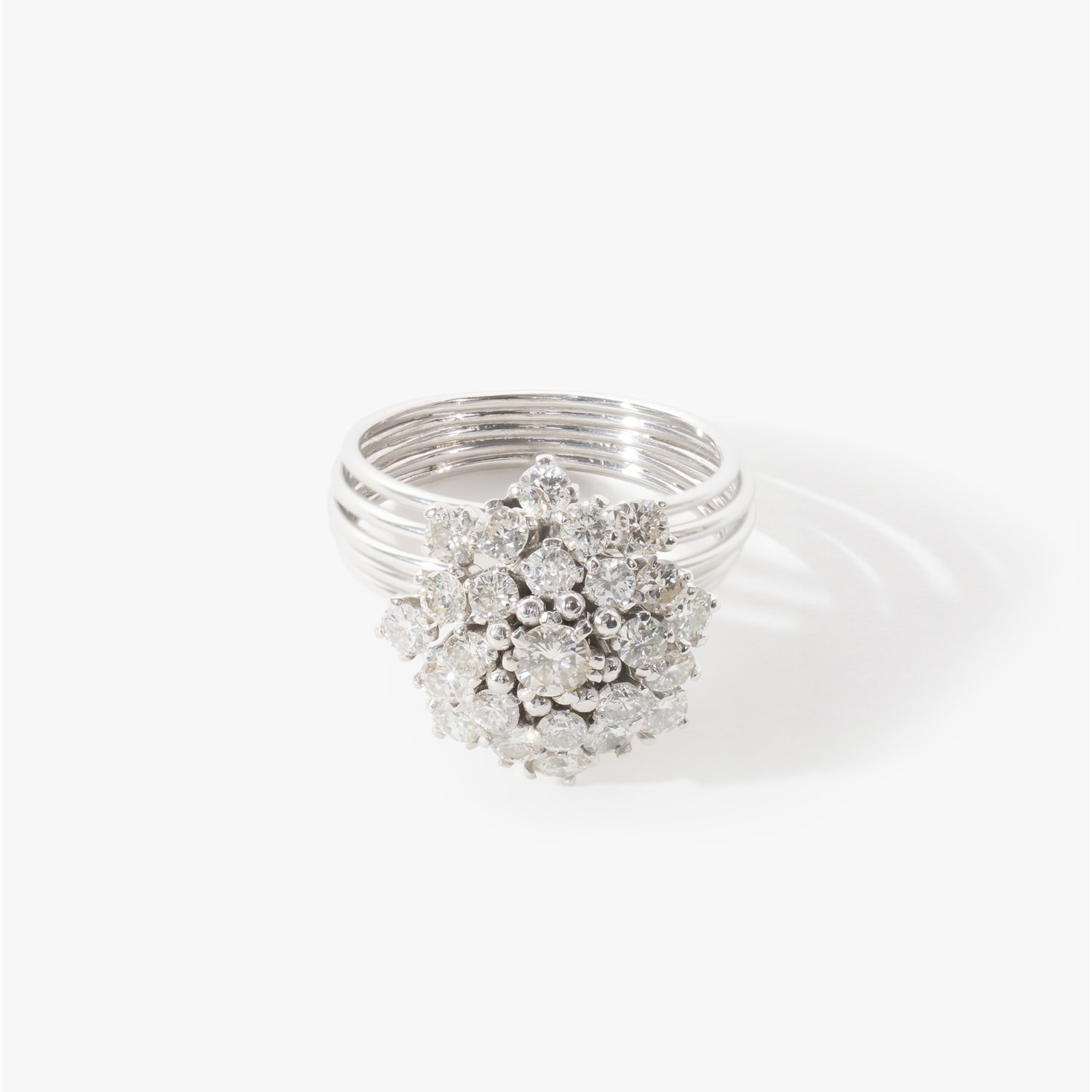 image_1461248d-71a1-47cd-96f8-99c009871047