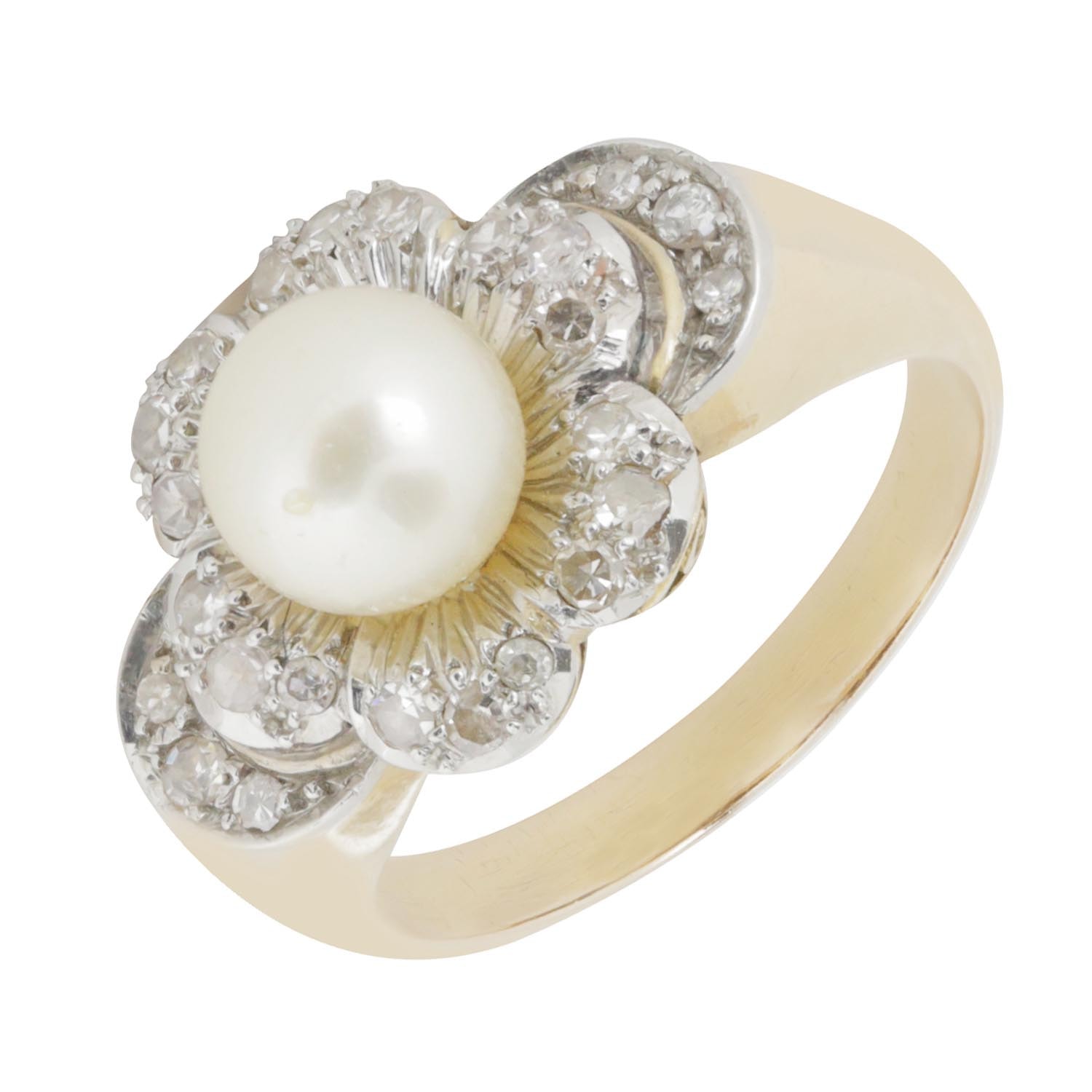 Product main image - 8492c8ad-ce69-444d-aad8-9a7f628e367a