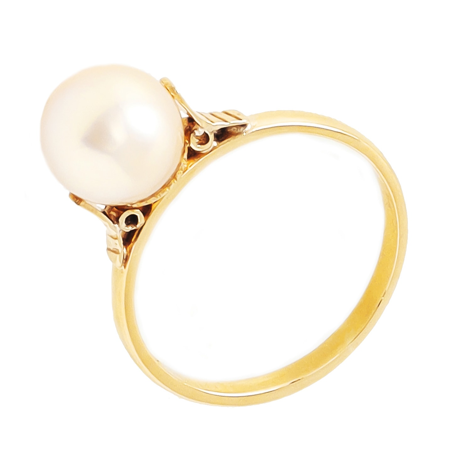Product main image - 3f67f881-9d5a-48bc-bc38-55023f190d67