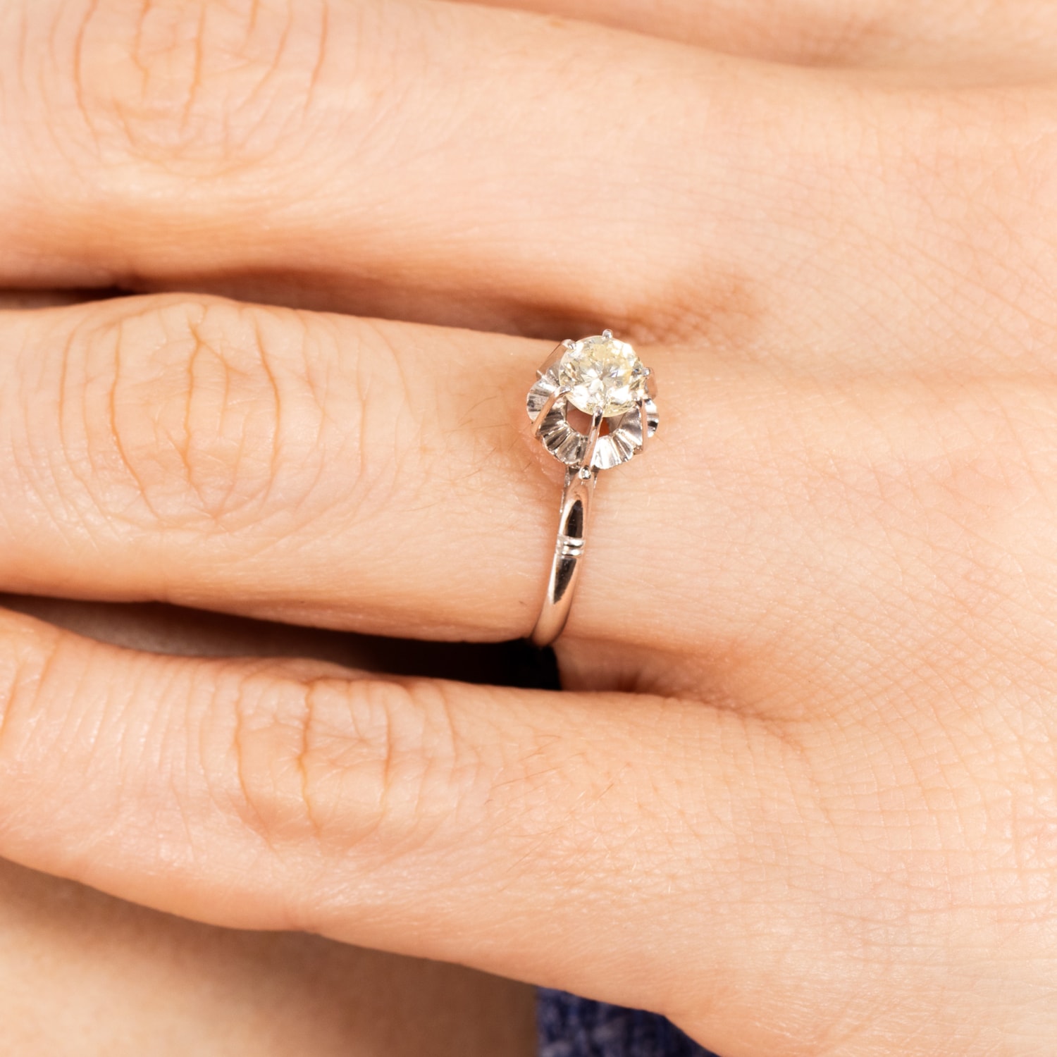 image_324b6275-0660-4c53-8c1e-c9aa864f28e6