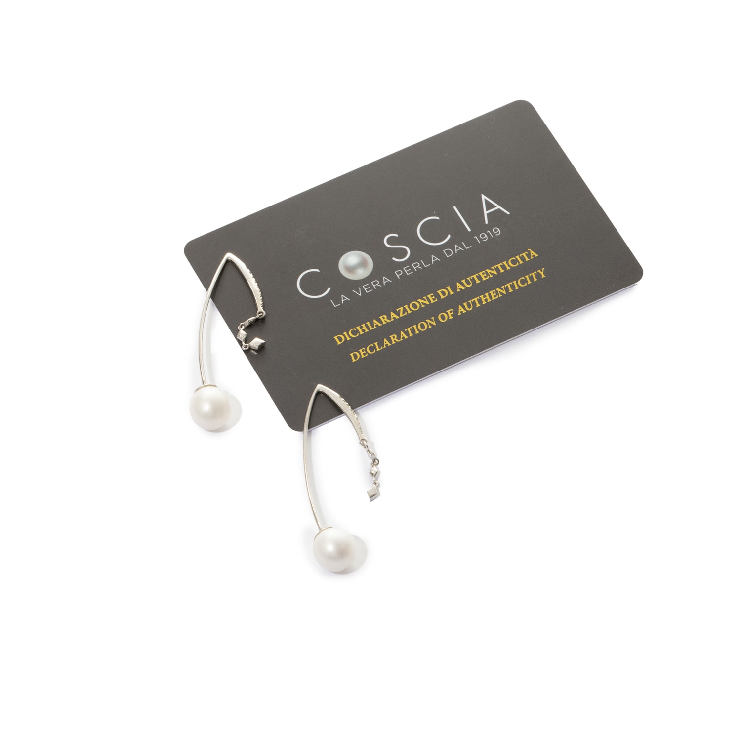 image_87507002-2d0f-450f-b130-063db2baddfd