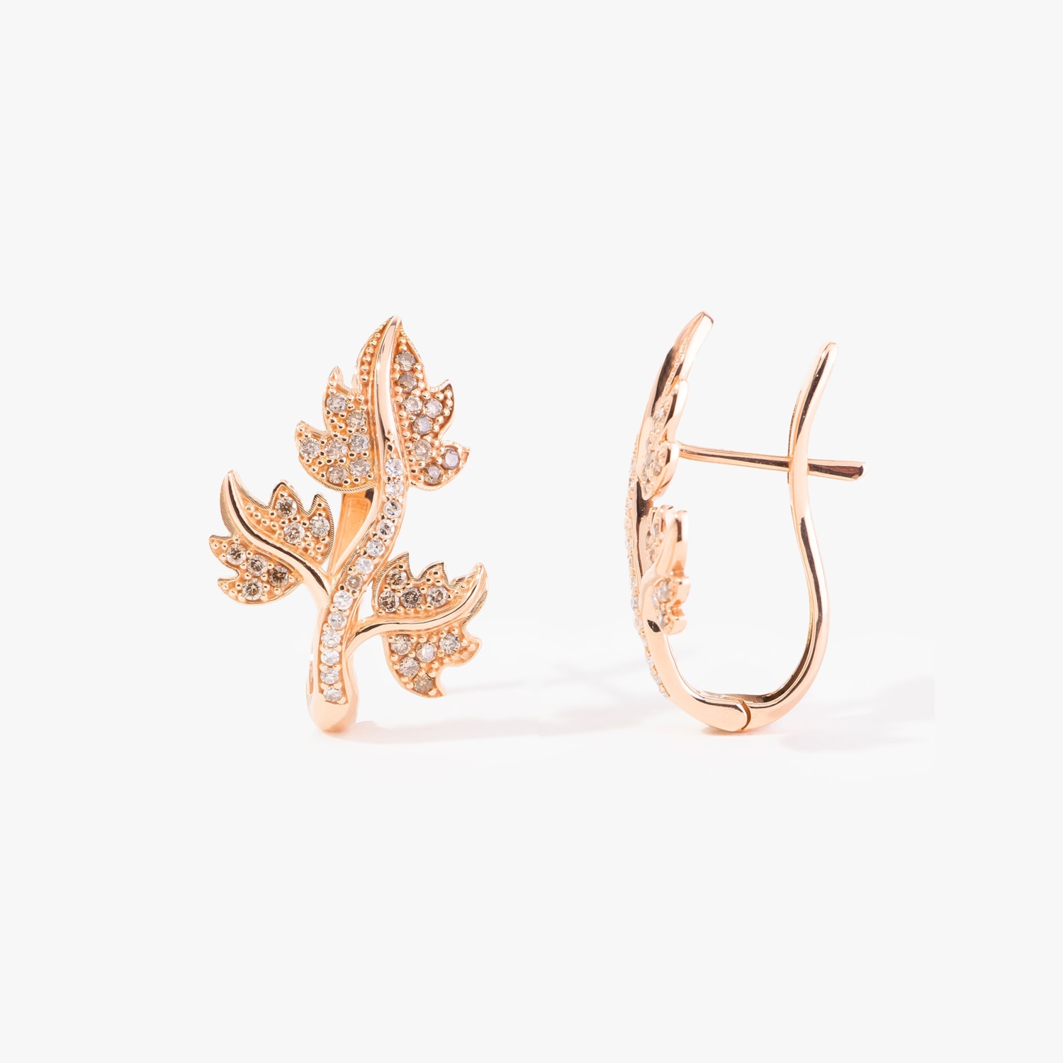 image_5ec29560-3061-45b0-ba32-356267040ef6