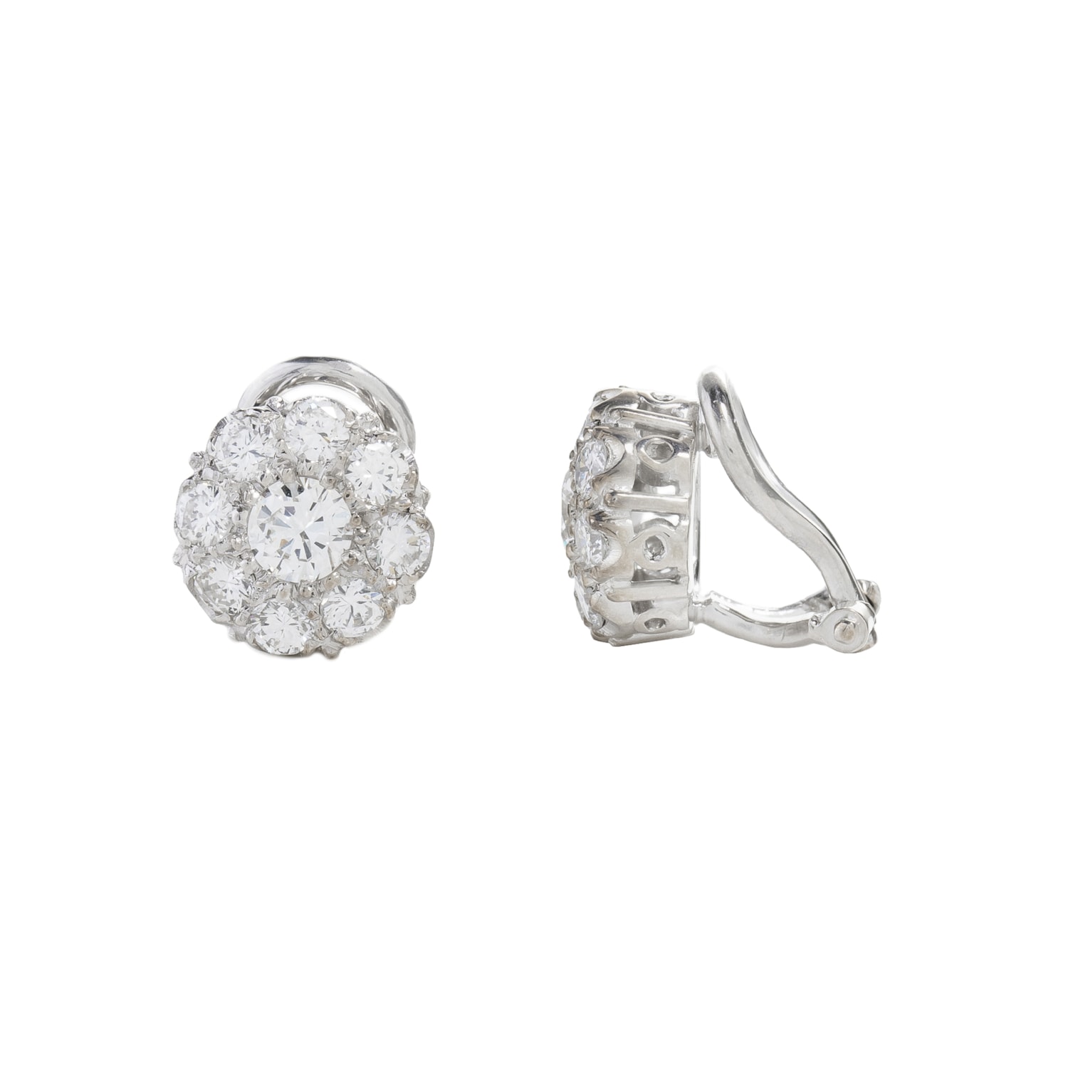 image_d95d80a0-a883-4956-bb32-c07377c2583f