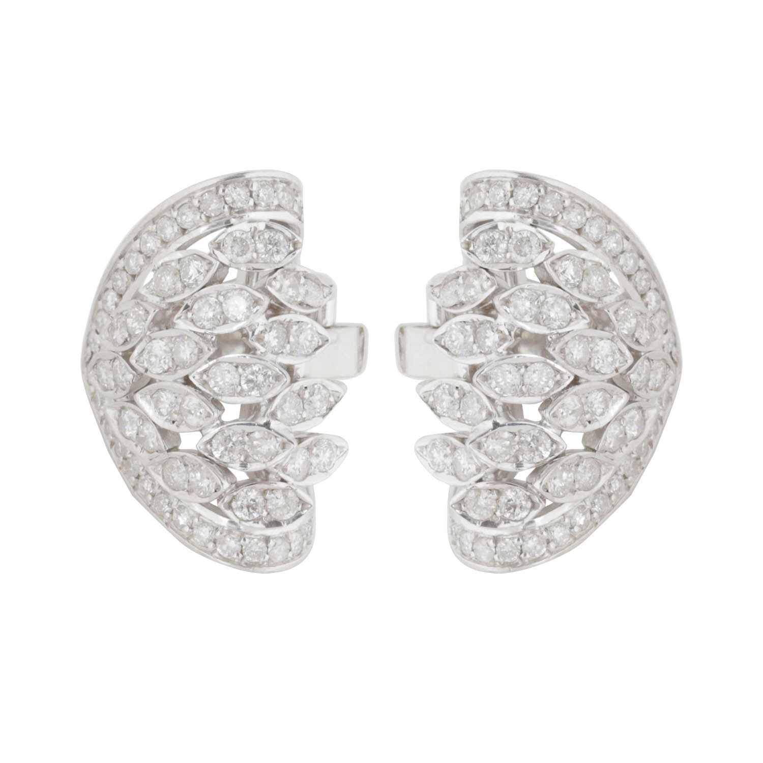 image_1b9a5511-710b-4a02-a02f-a4f5339a7497