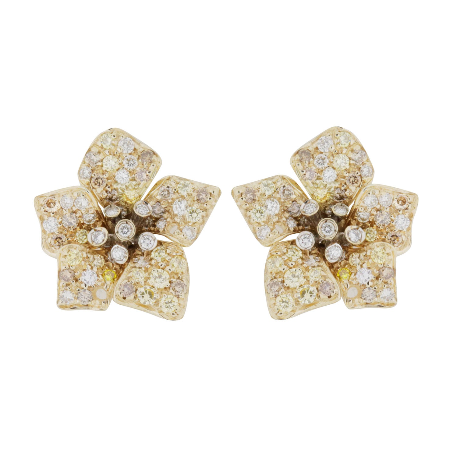 Product main image - 8765713c-2ac9-4809-8dab-ffb4976958cb