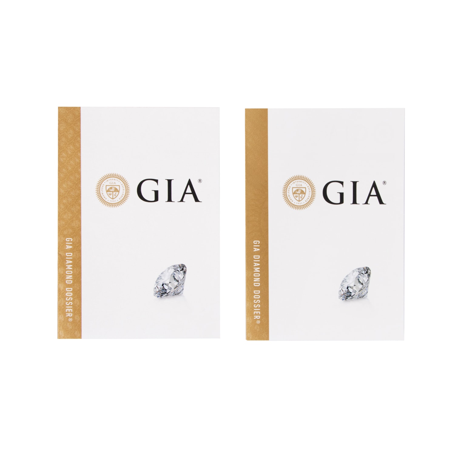 image_e7a26b73-dfd6-4fb5-aabf-78d38626e8e3