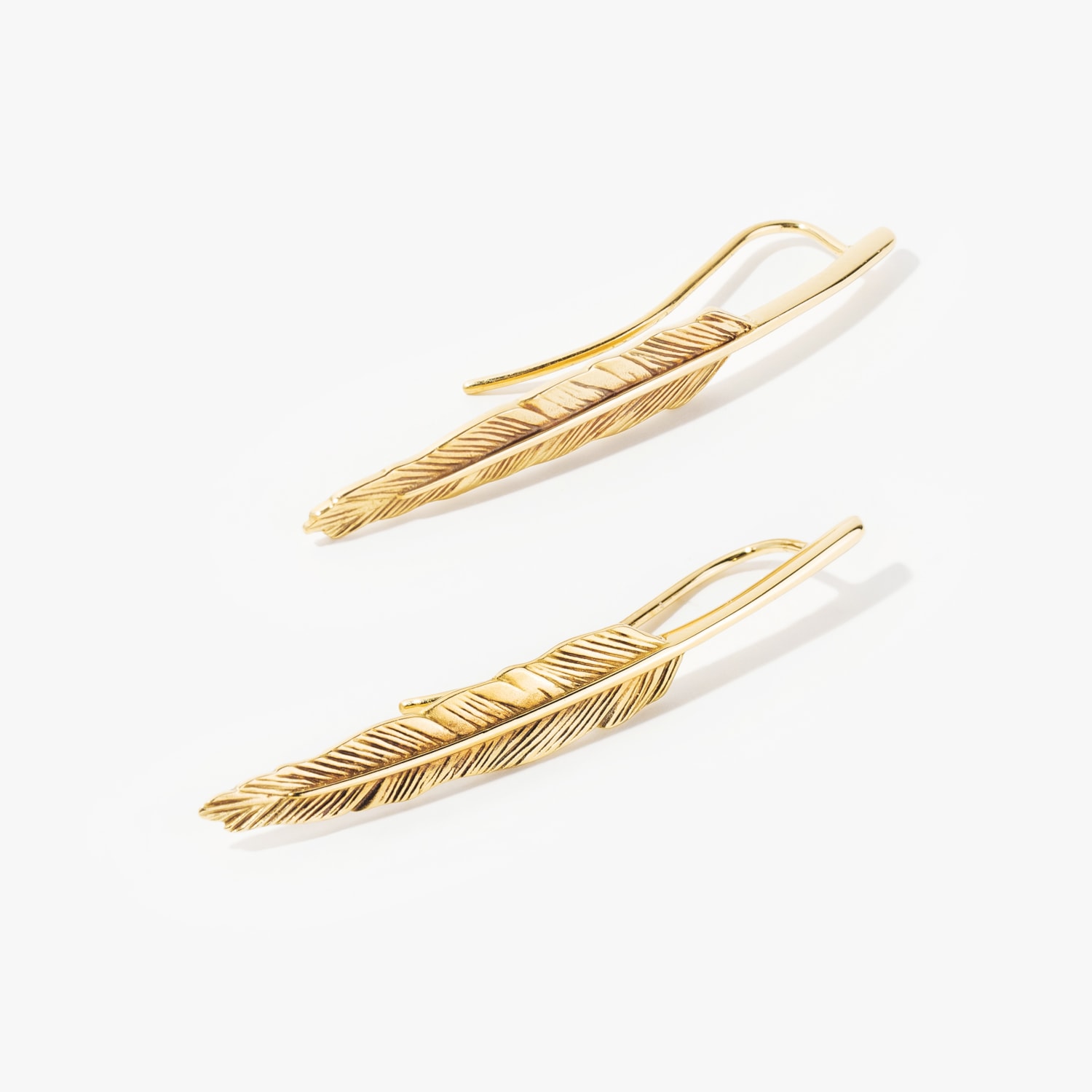 image_7b9e8d21-0f82-4815-8253-af61f4a9b2b7