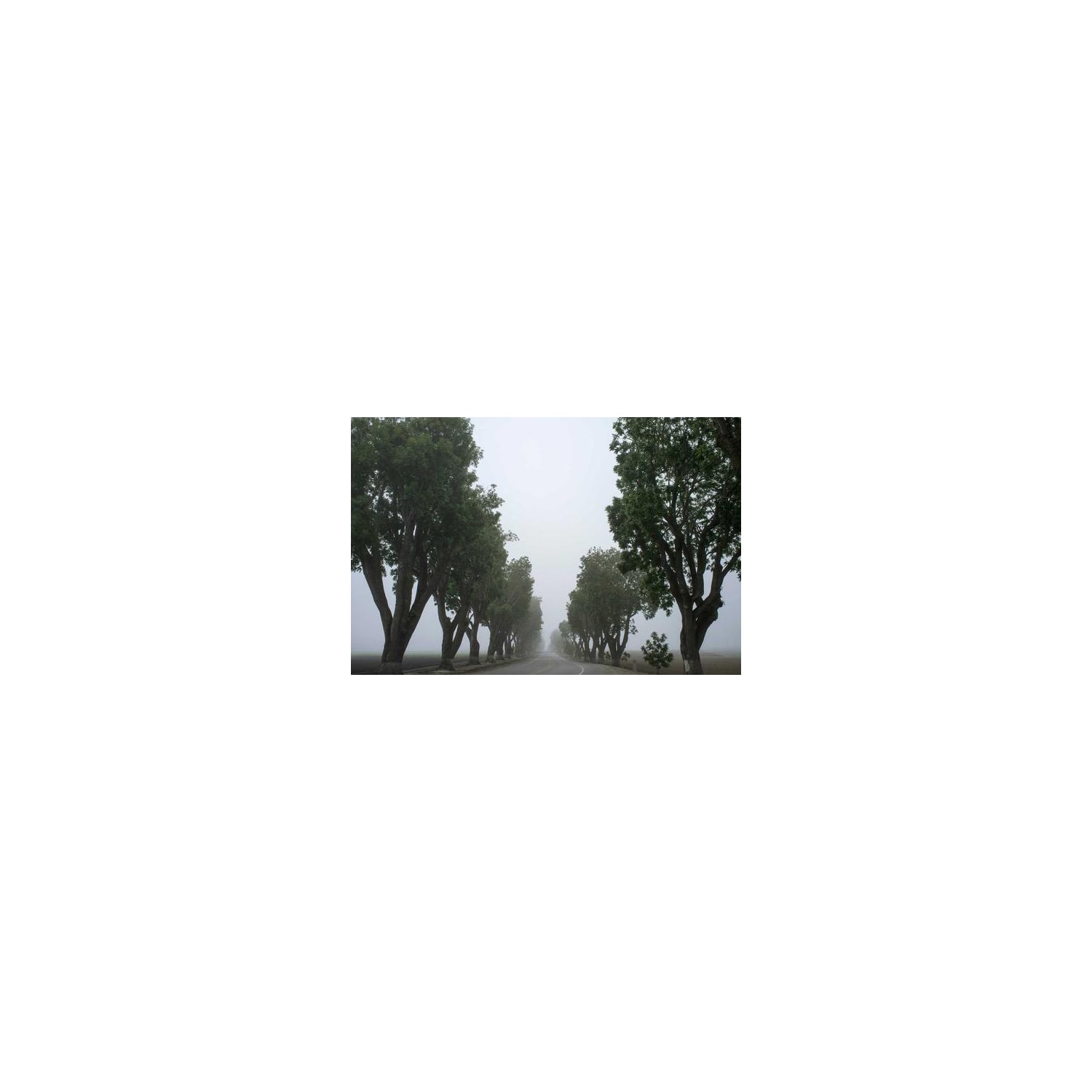 Product main image - 567a1921-dfab-47d1-8ce2-52acacf33689
