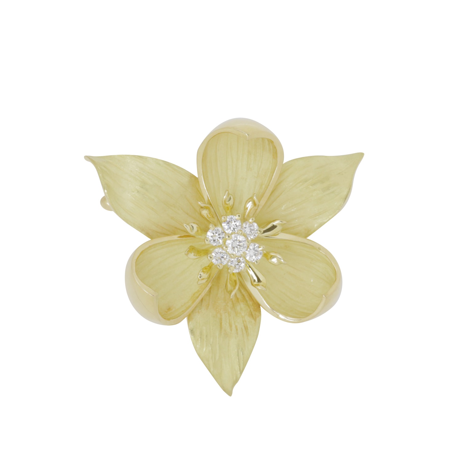 Product main image - fbc1b6db-0fc6-466e-b6bf-f468cf34f5b1