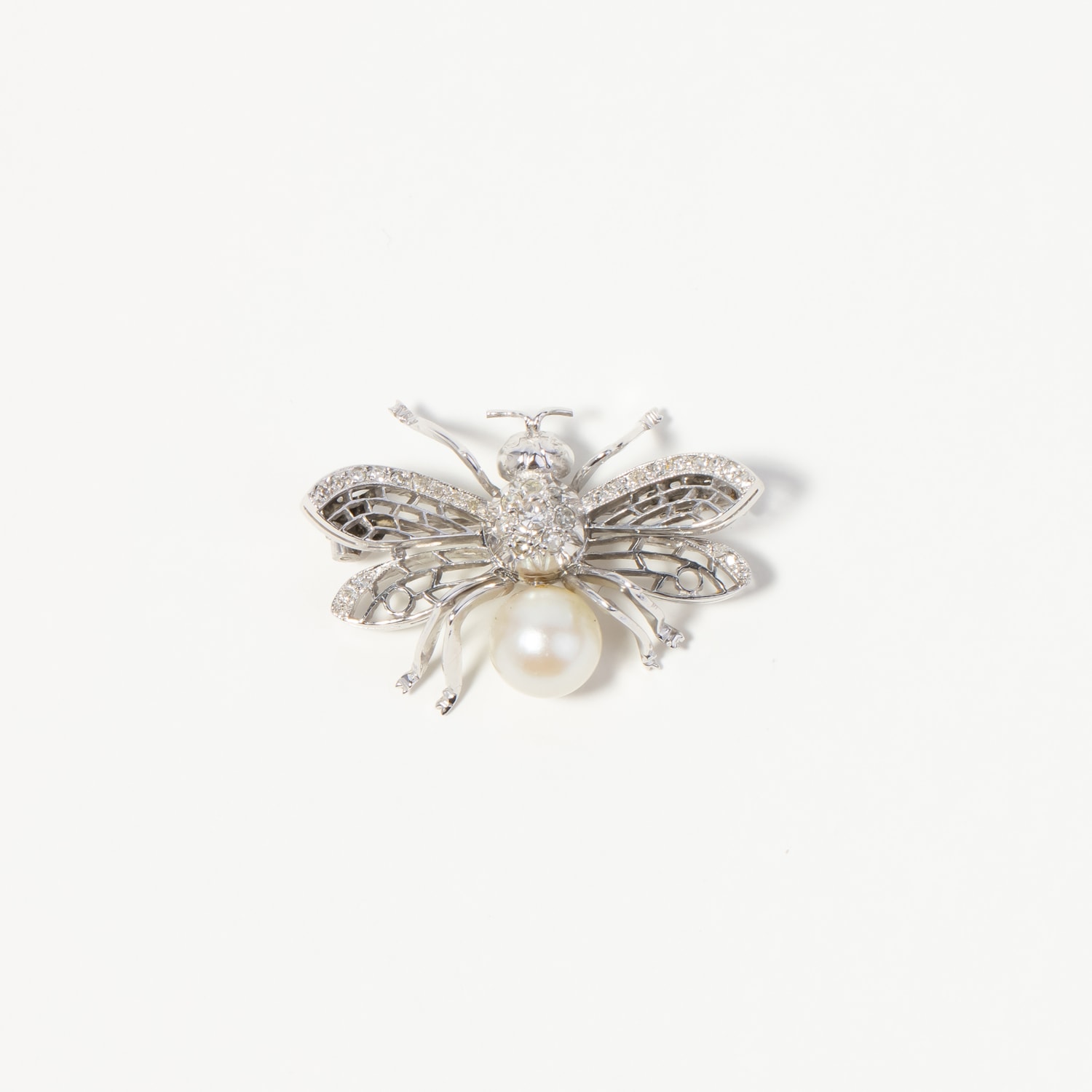 Product main image - f3e3188d-c3d2-4fe0-8f1c-545cca59927b