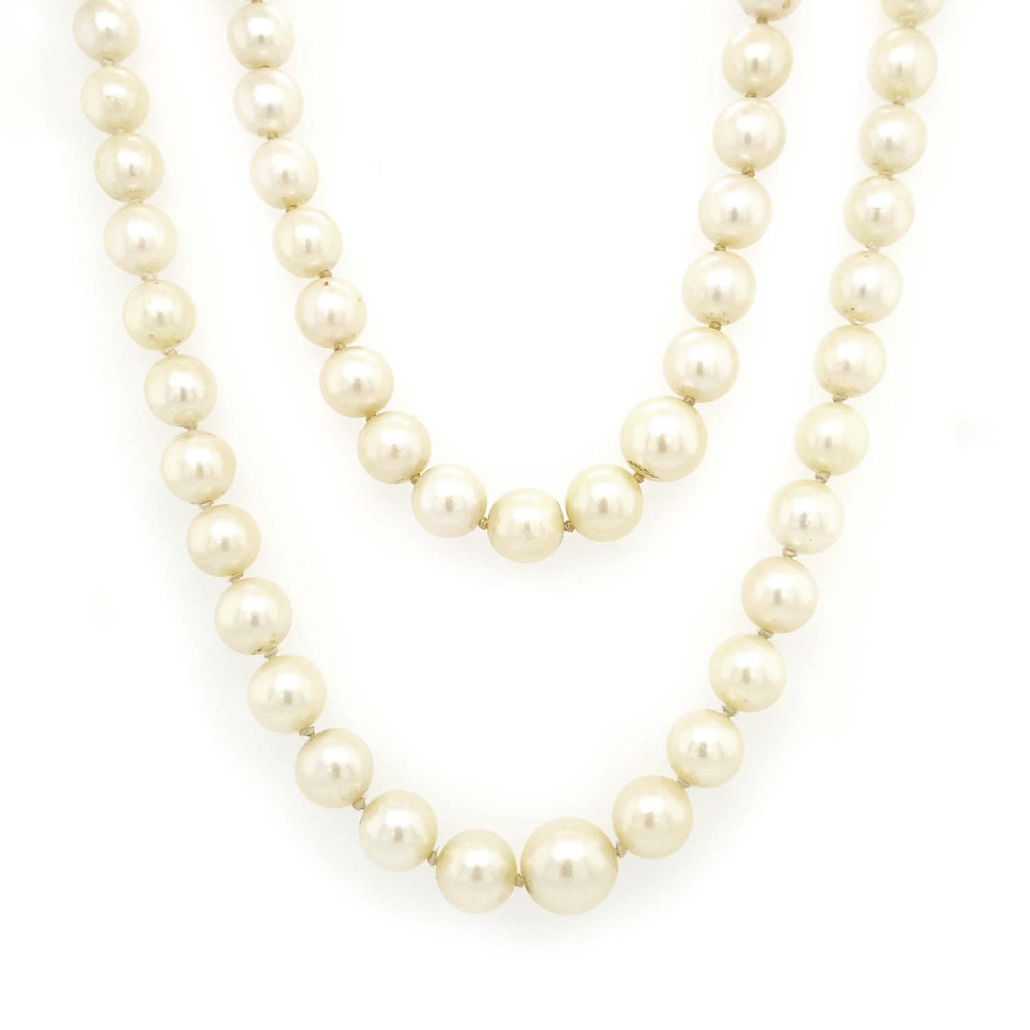 Product main image - fa93dd9a-3d22-42a9-a2e2-49c646596e67