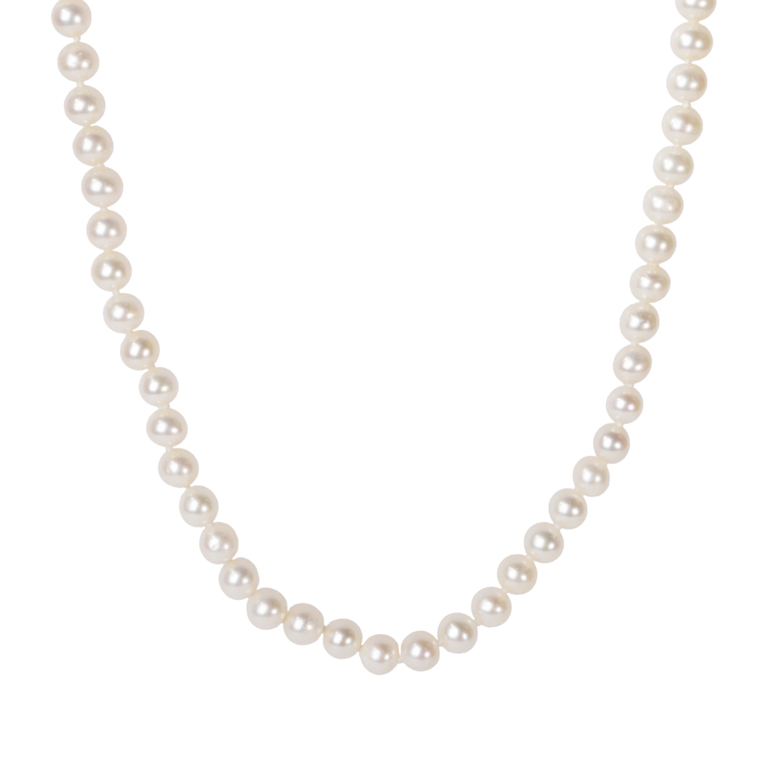 Product main image - 6c6b8c3a-40cd-49d9-bed8-6c1aae94a284