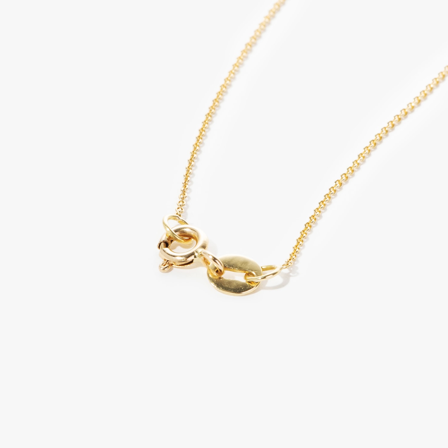 image_8c4ce7bc-a35e-46ec-a0f9-fe3f5d8cda6d