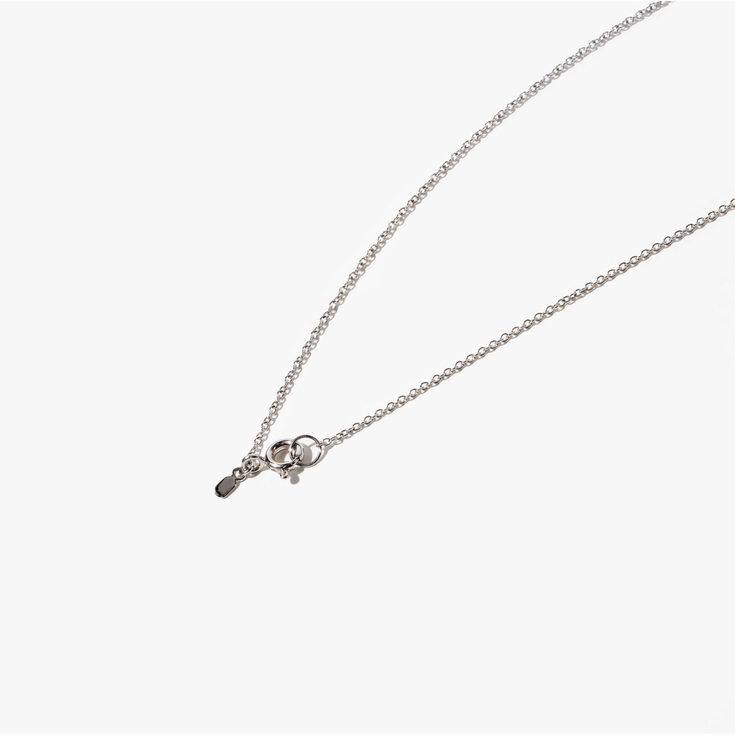 image_8efb5acc-91cd-40bc-920c-9a5e76f0476b