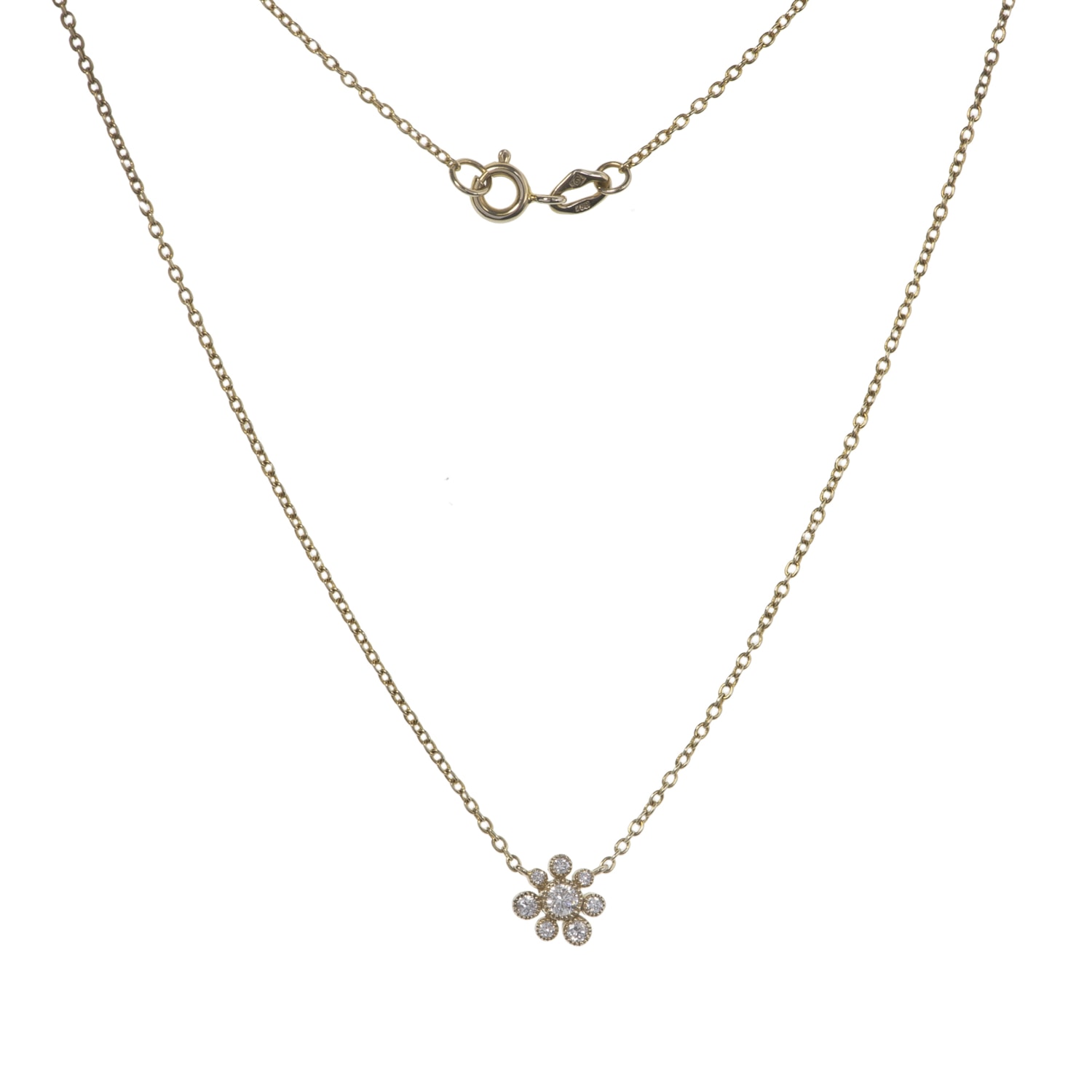 image_a8fb0b2a-e21e-4fab-9888-92aa9161dfc3