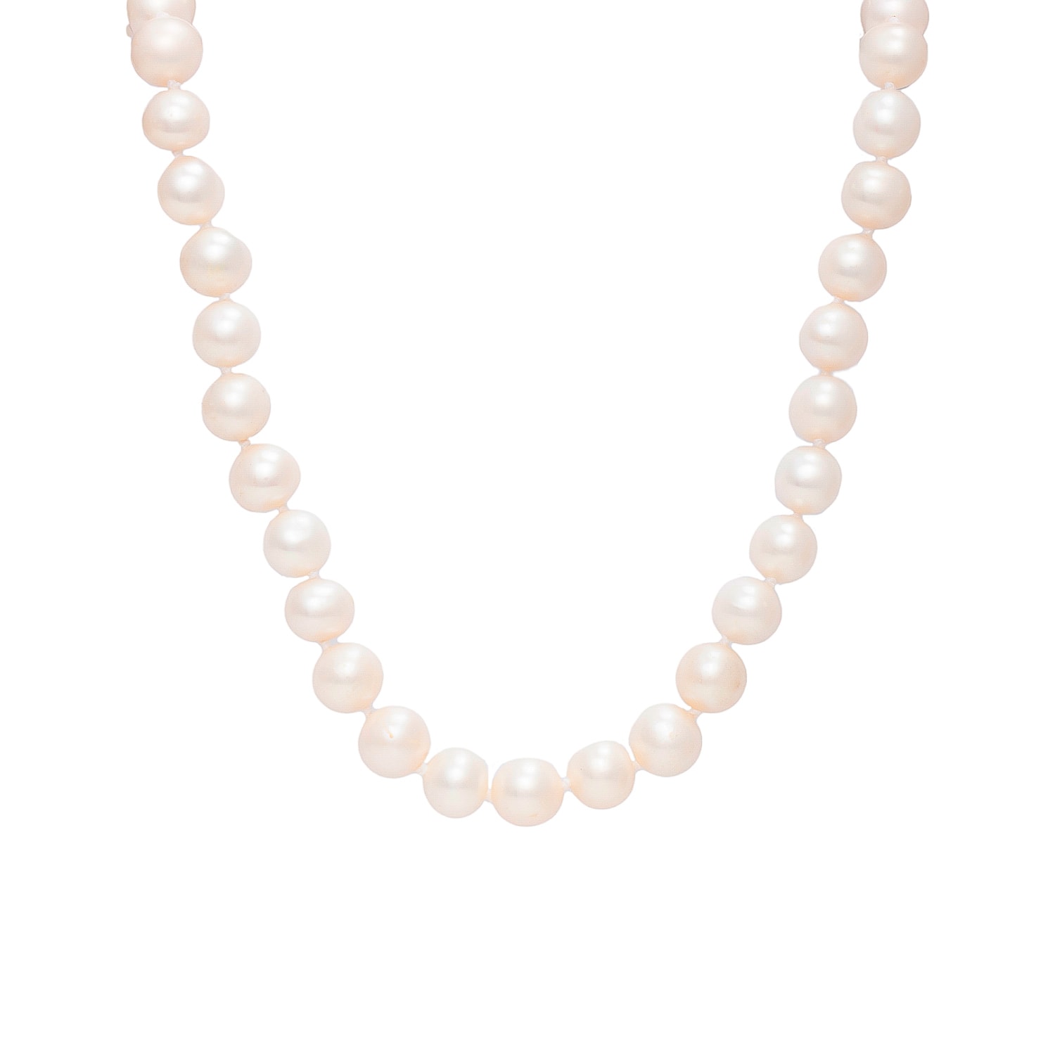Product main image - 13052ae4-62c7-45cb-98cf-0211e28e0cef