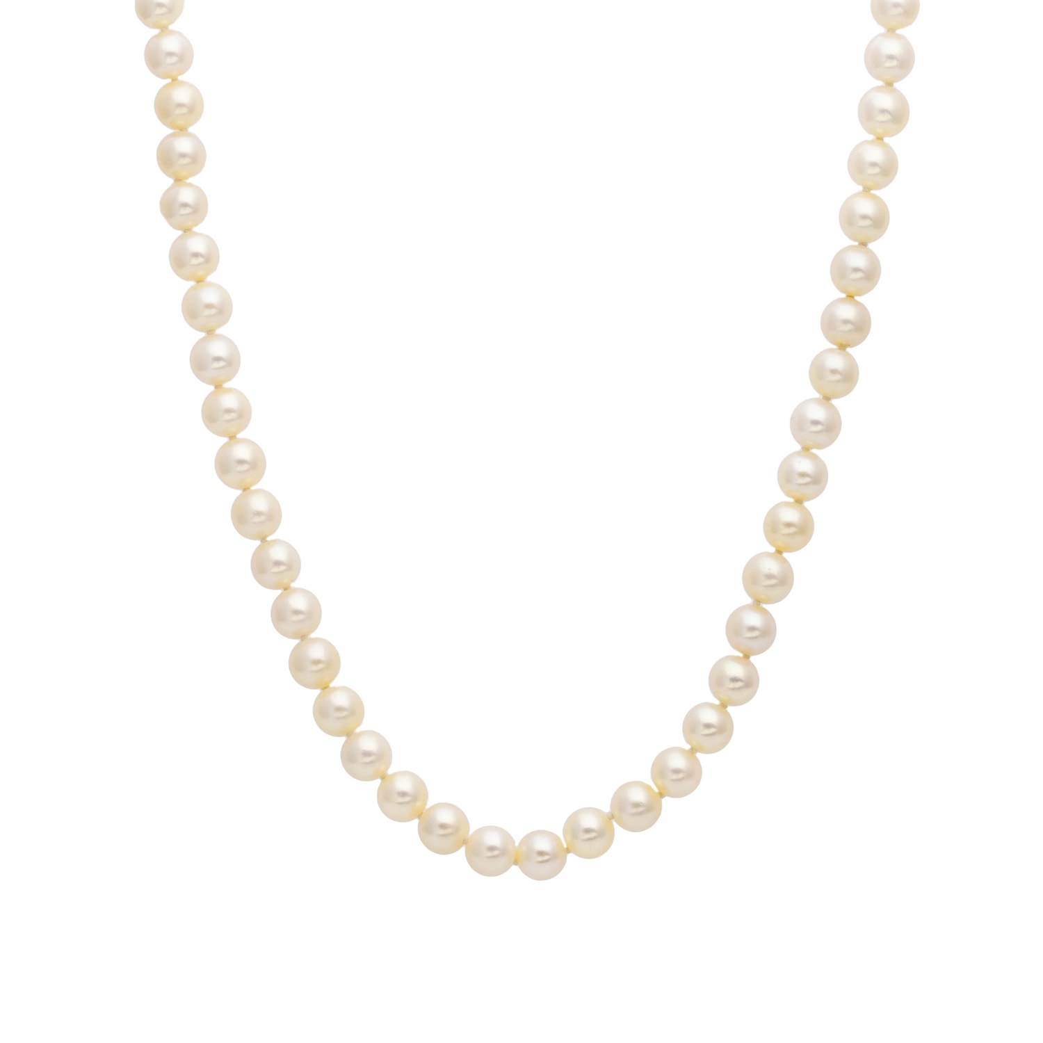 Product main image - eb9c0666-7c68-4b3d-afae-951bc13a3546