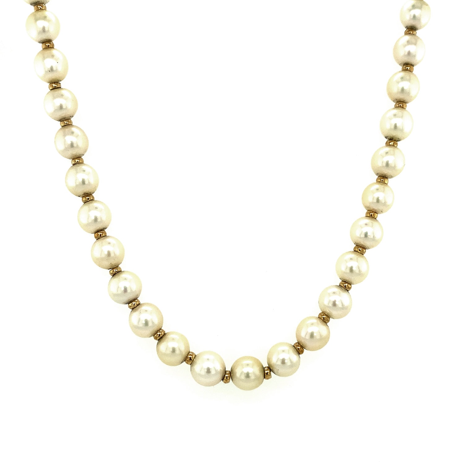 Product main image - cdce7acd-d0b6-4eb0-a57e-8e9e88982bcc