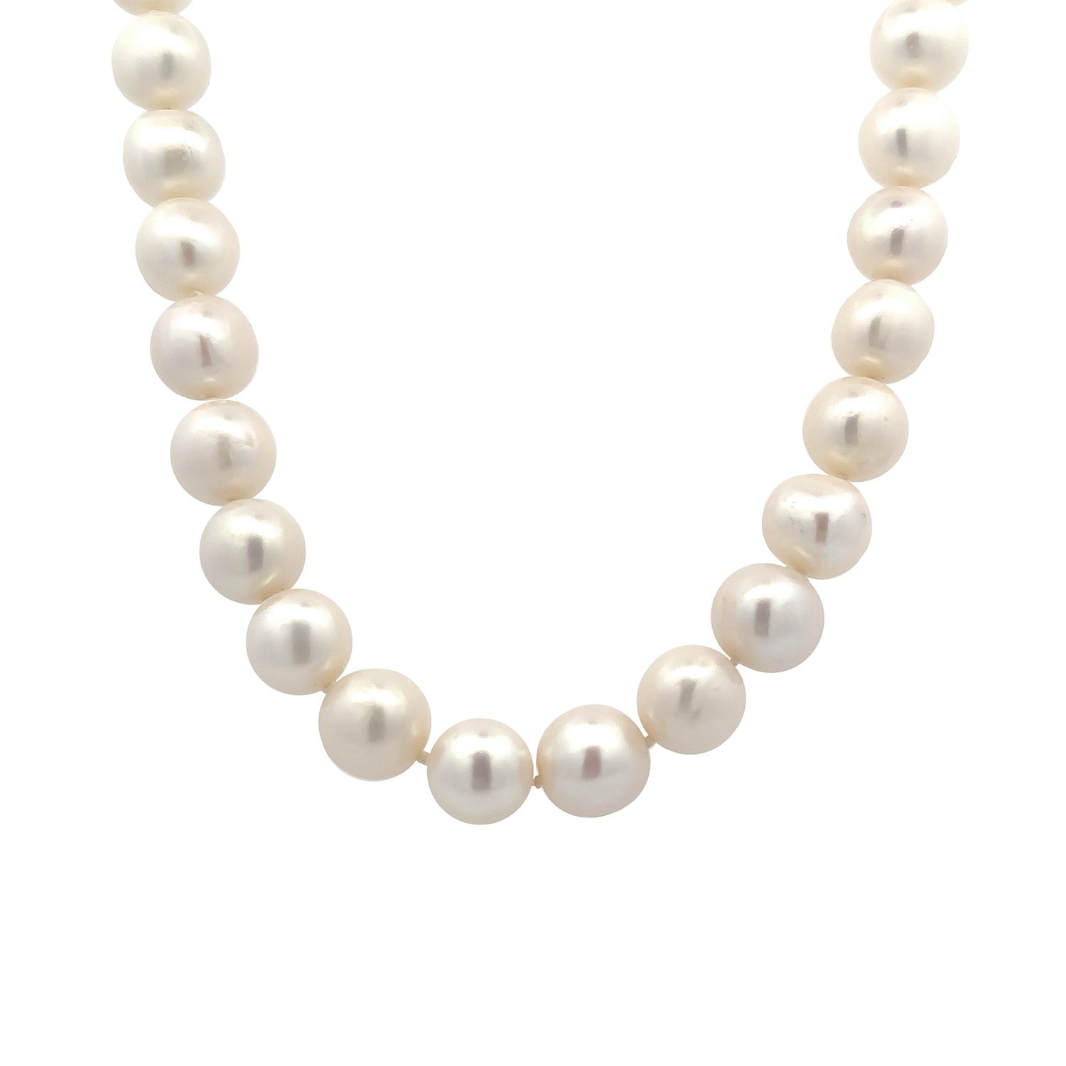 Product main image - 09747ef8-c28a-4fff-ba27-67532707b729