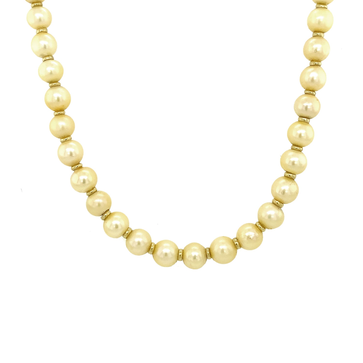 Product main image - 6d7efe88-d6d9-428e-ac04-9f7d29f5bbab