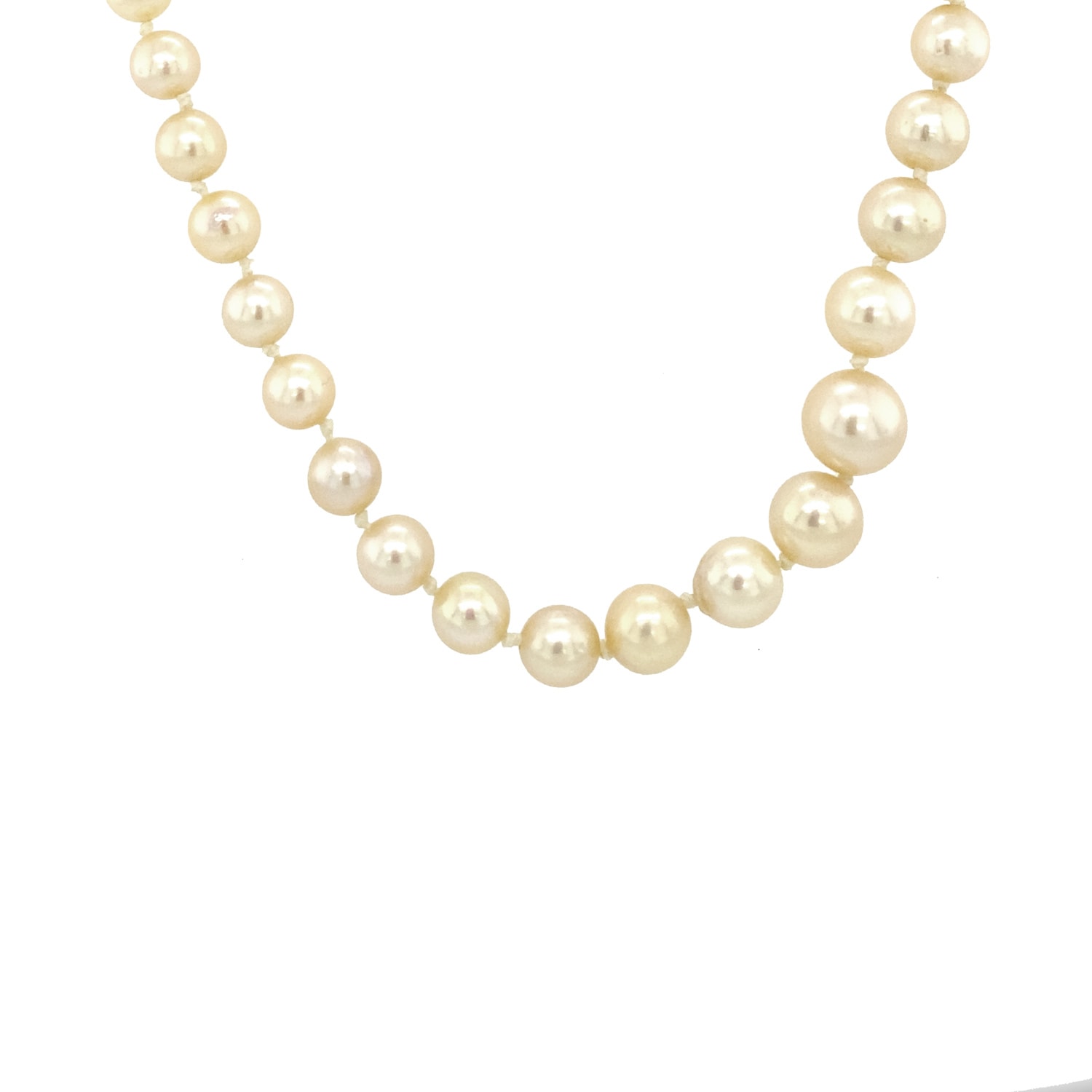 Product main image - 1b369664-c061-44e1-86fa-a6b436df764c