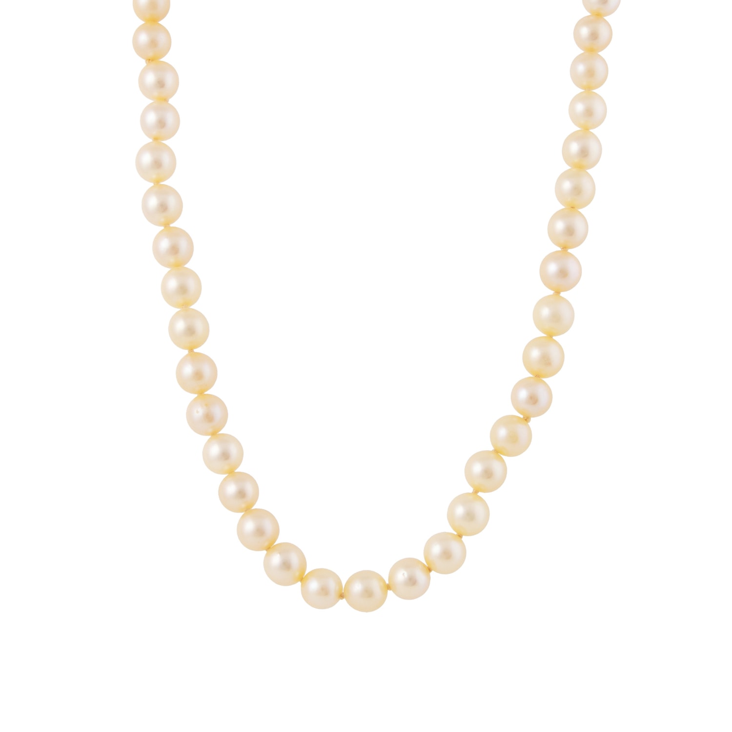 Product main image - dec0b9f6-cdb3-41c5-b7a6-4dbd167debea