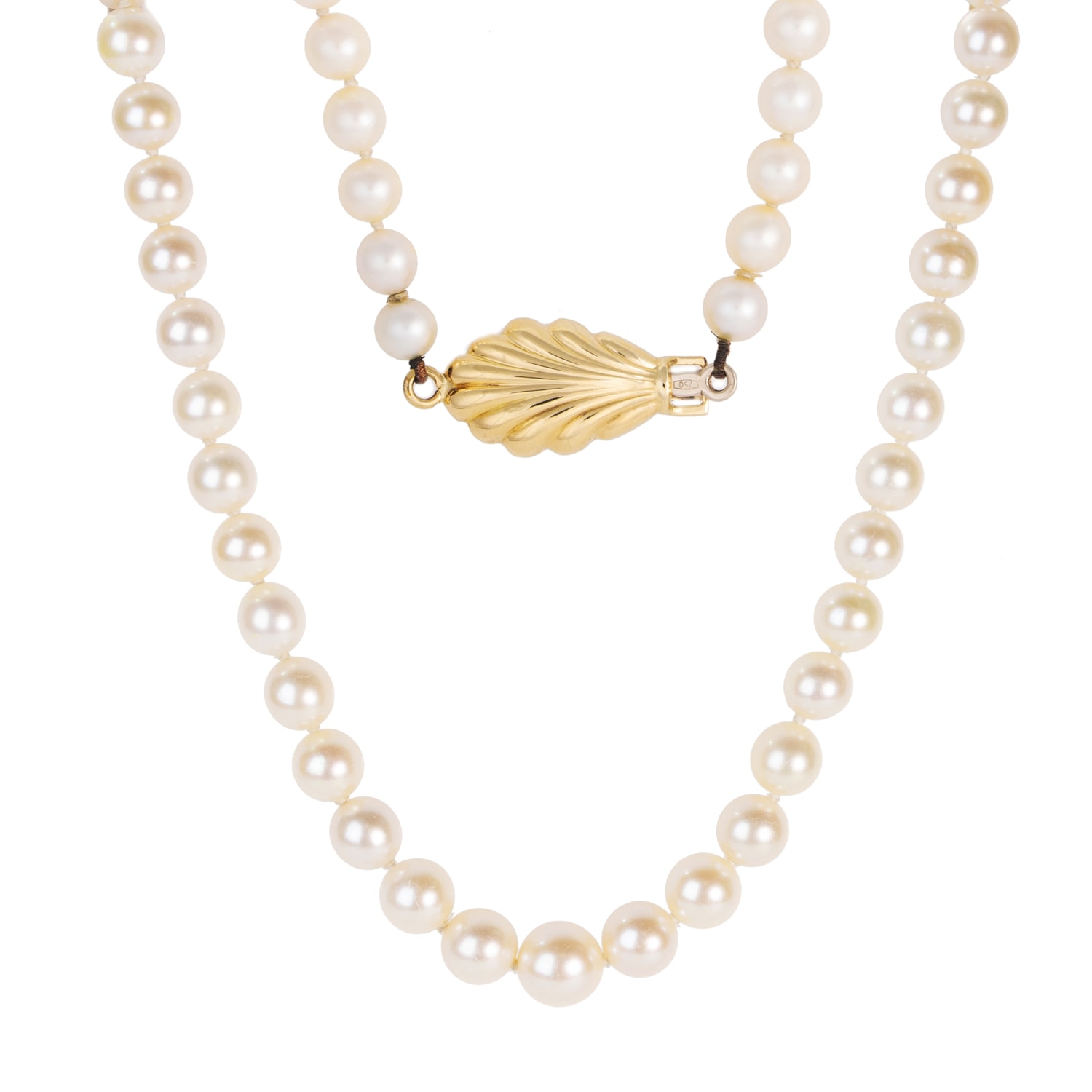 image_f6918326-cbab-4d45-a518-2b7278024000