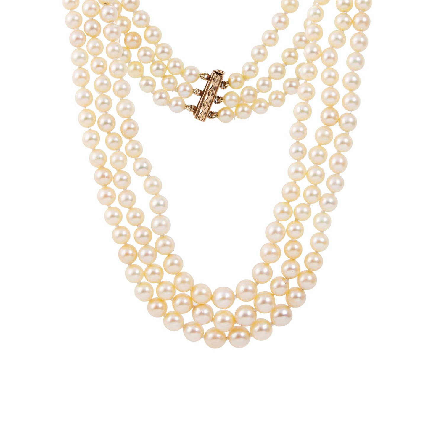 image_a719da3d-ab09-420b-9463-bced84cafbd0