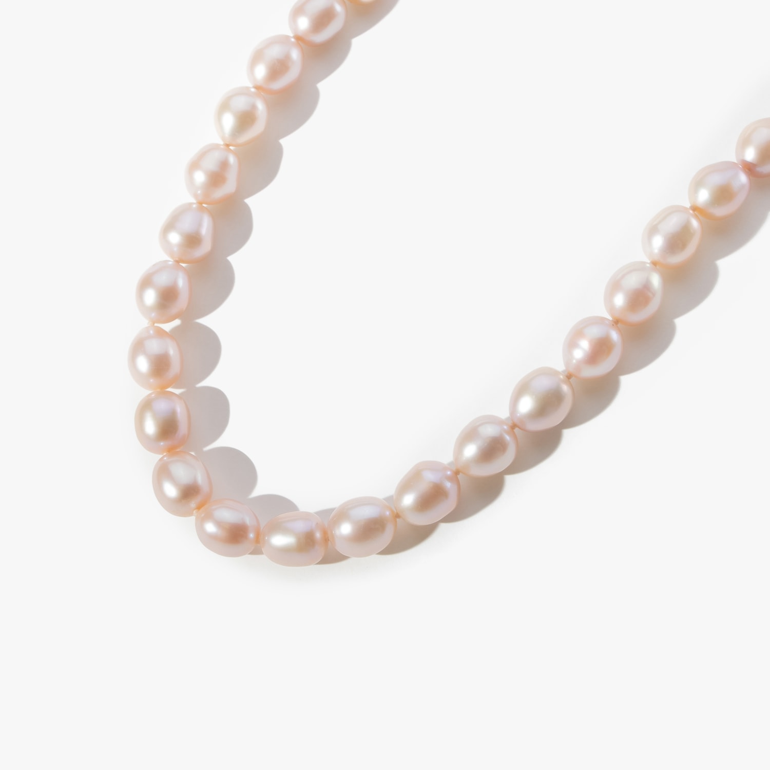 image_5ba62ddb-5489-4a32-ab0a-97a53075d61d