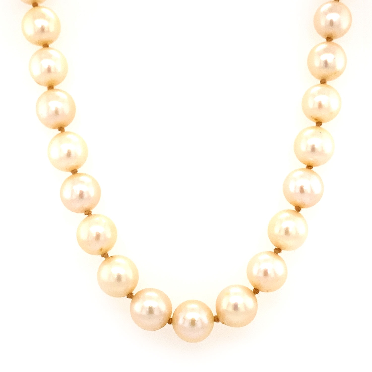 Product main image - b2b3a8f7-7611-487a-bd21-d1c952f8fa5e