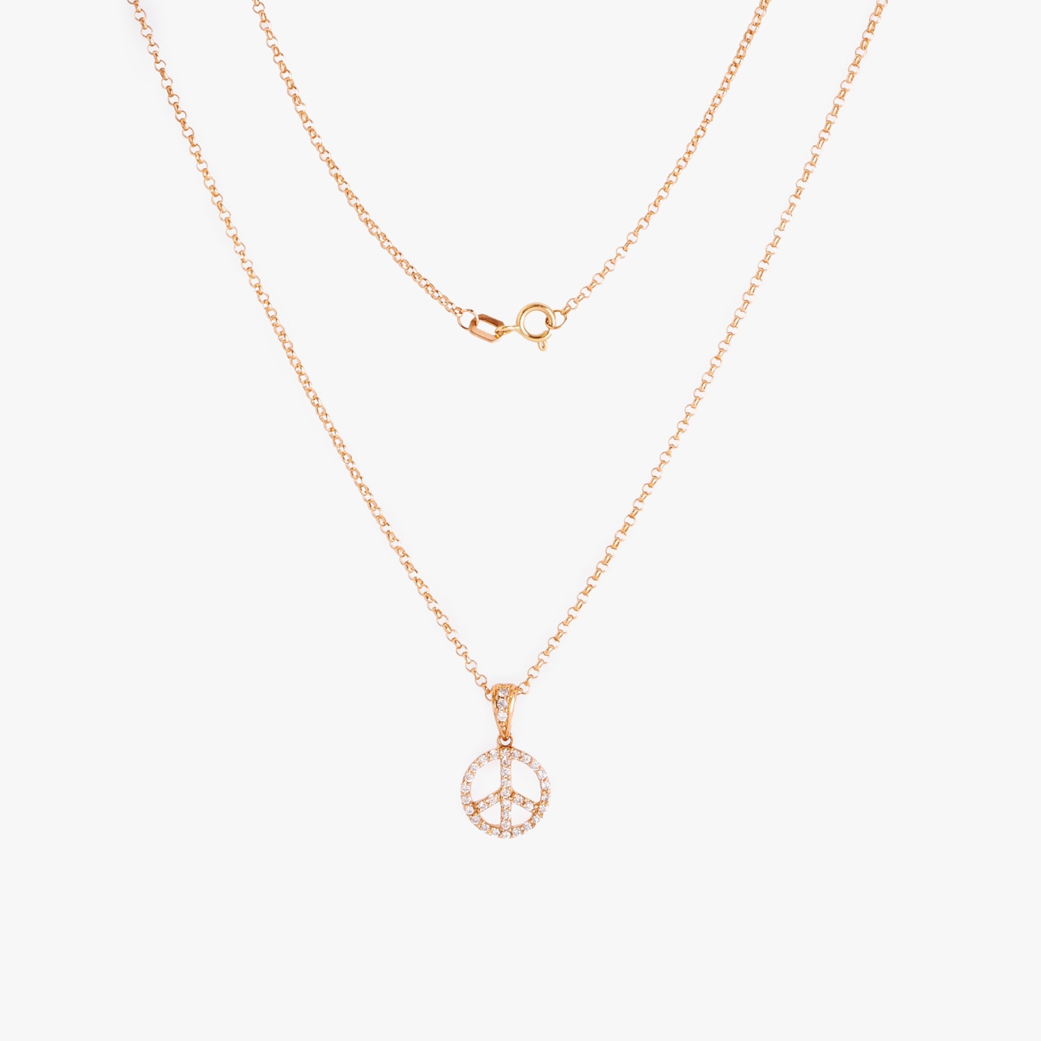 image_71076ec2-1778-4e5b-bf5c-276ee589be81